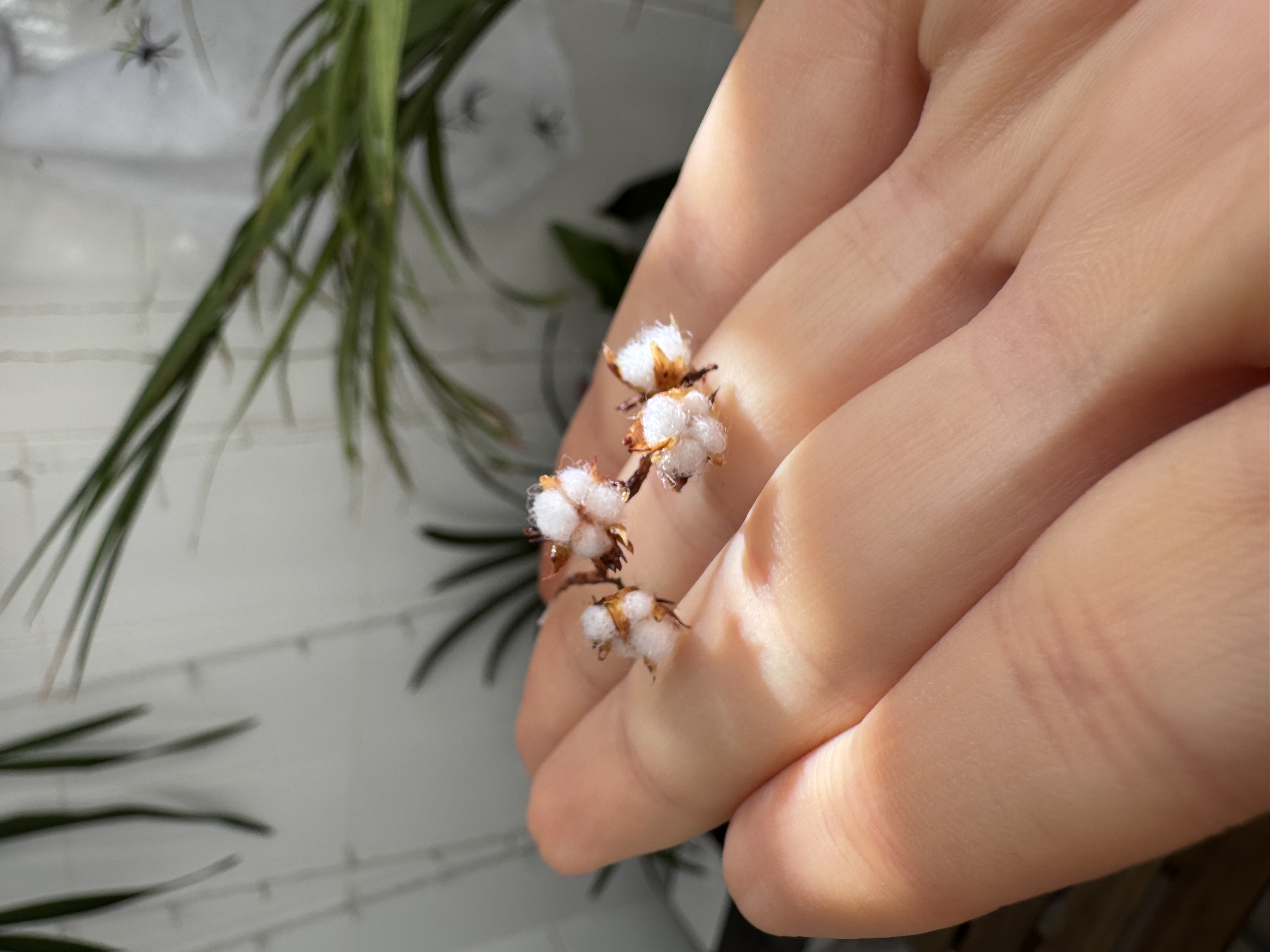 Dollhouse cotton branch, Scale 1/12 - TO ORDER