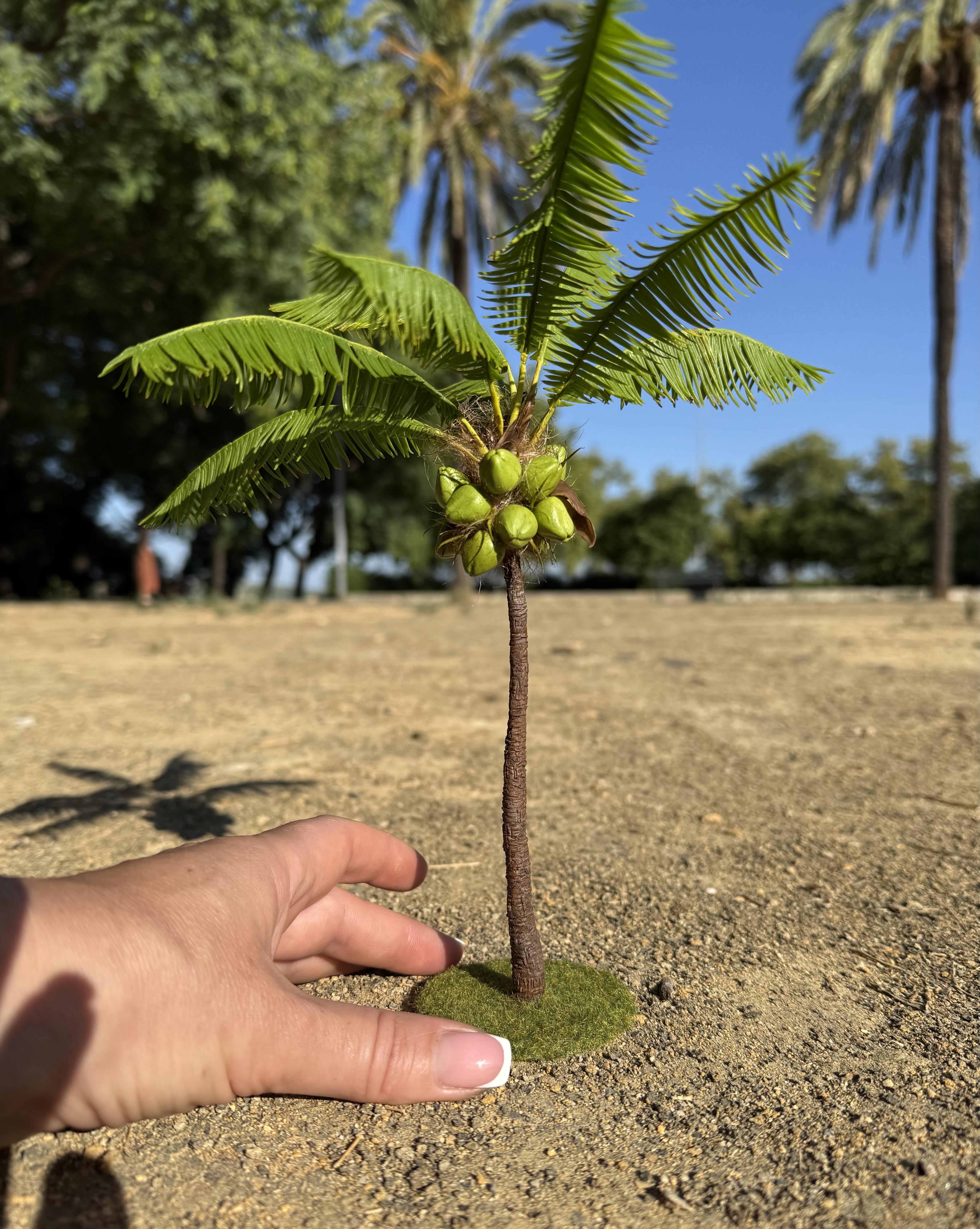 Coconut tree, Scale 1/12 - TO ORDER