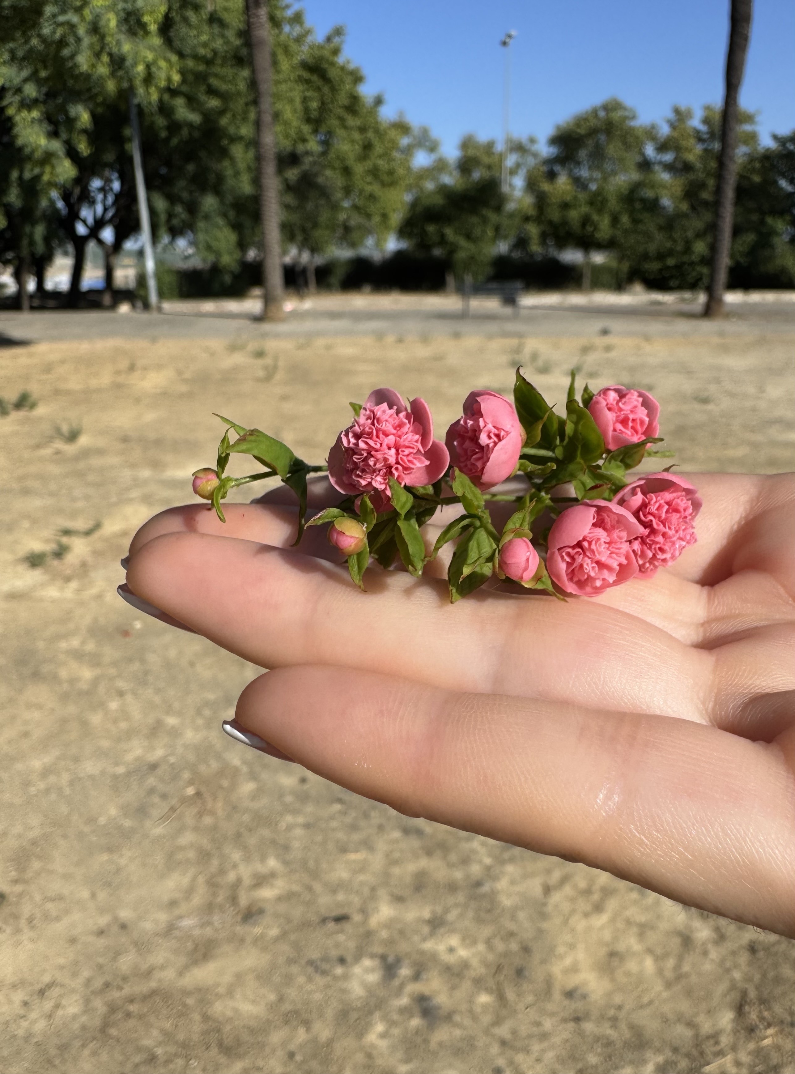  Dollhouse Peonies, Scale 1/12, TO ORDER