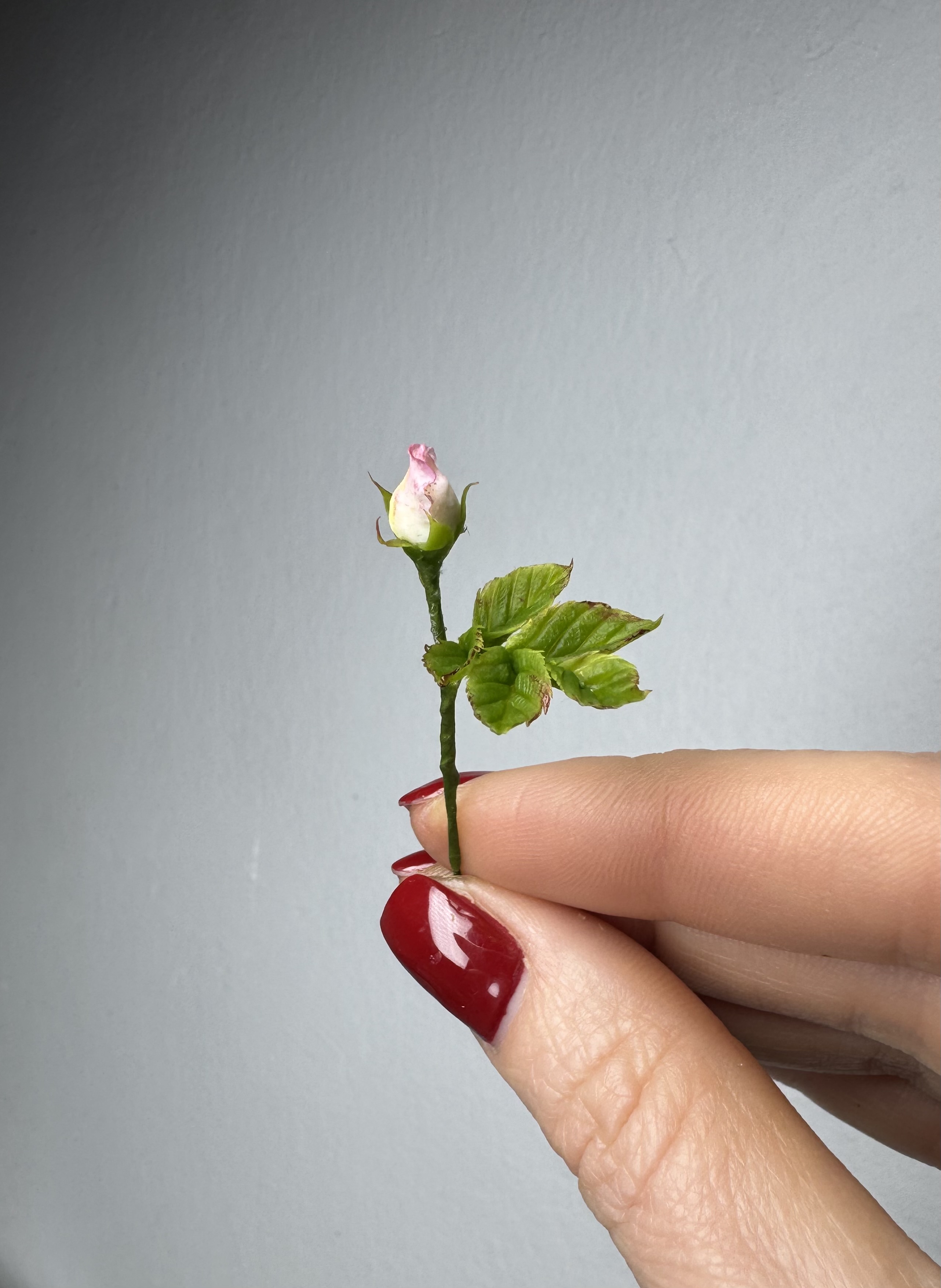 Miniature rose, Scale 1/6 - TO ORDER