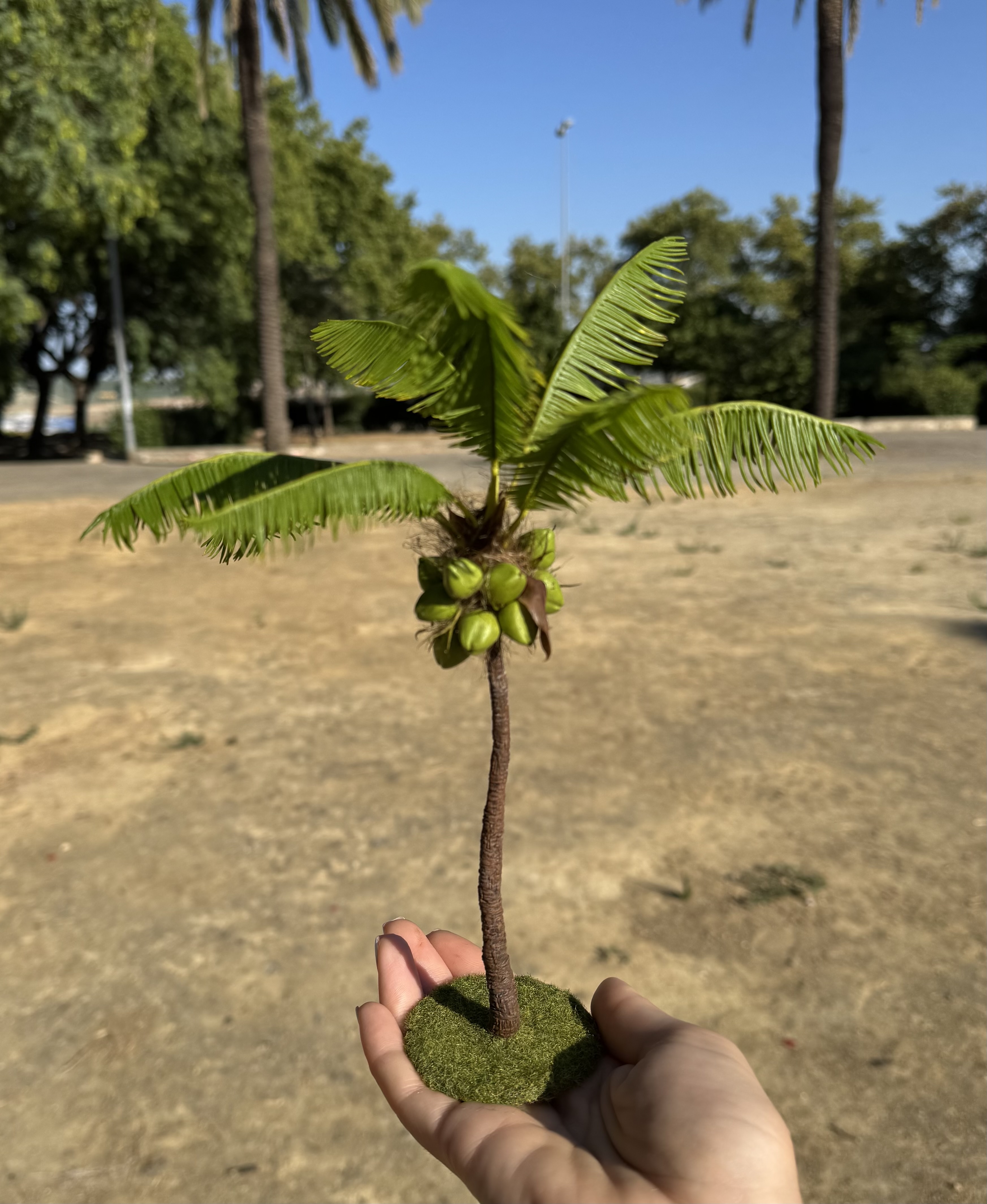 Coconut tree, Scale 1/12 - TO ORDER