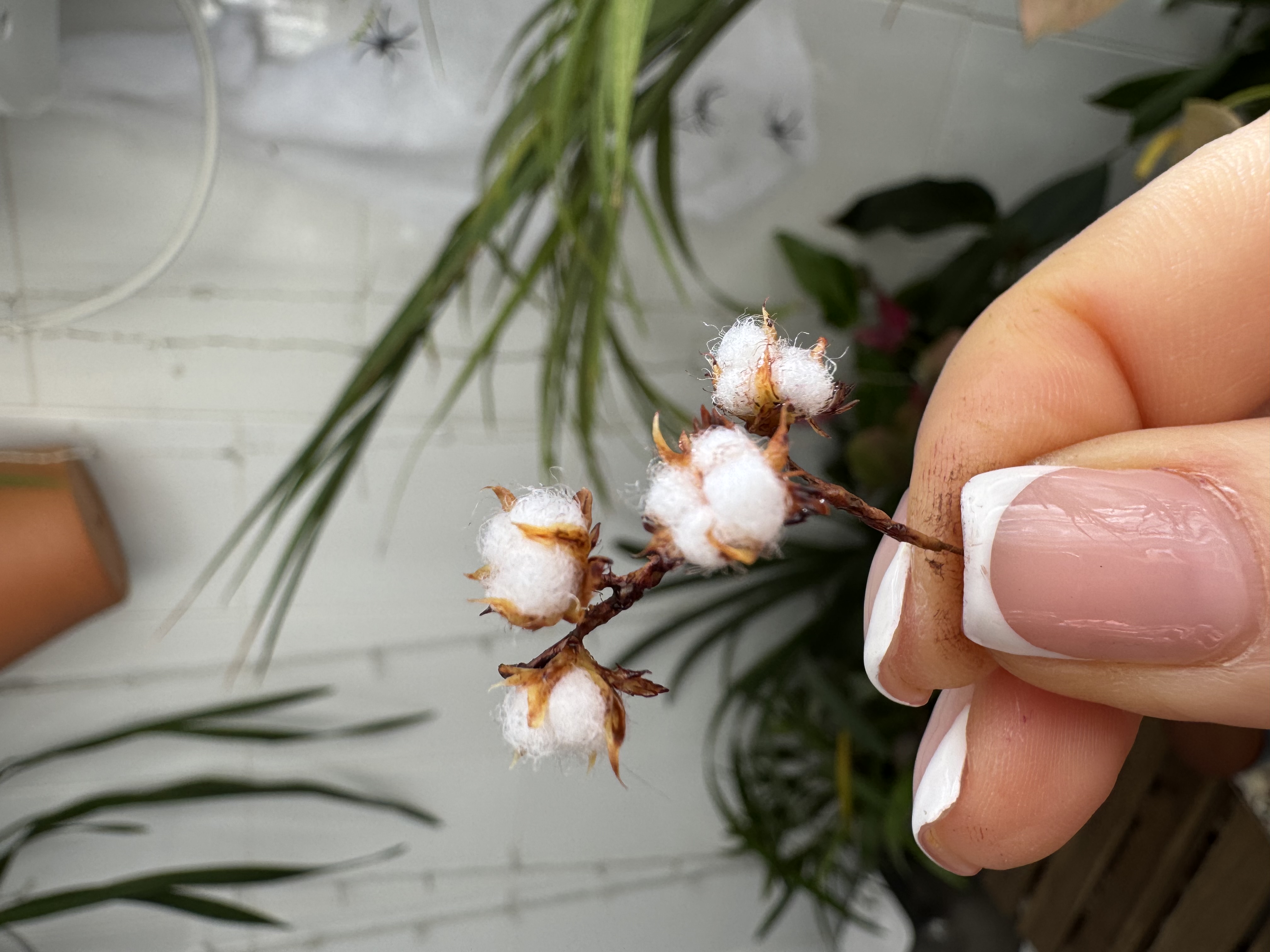 Dollhouse cotton branch, Scale 1/12 - TO ORDER