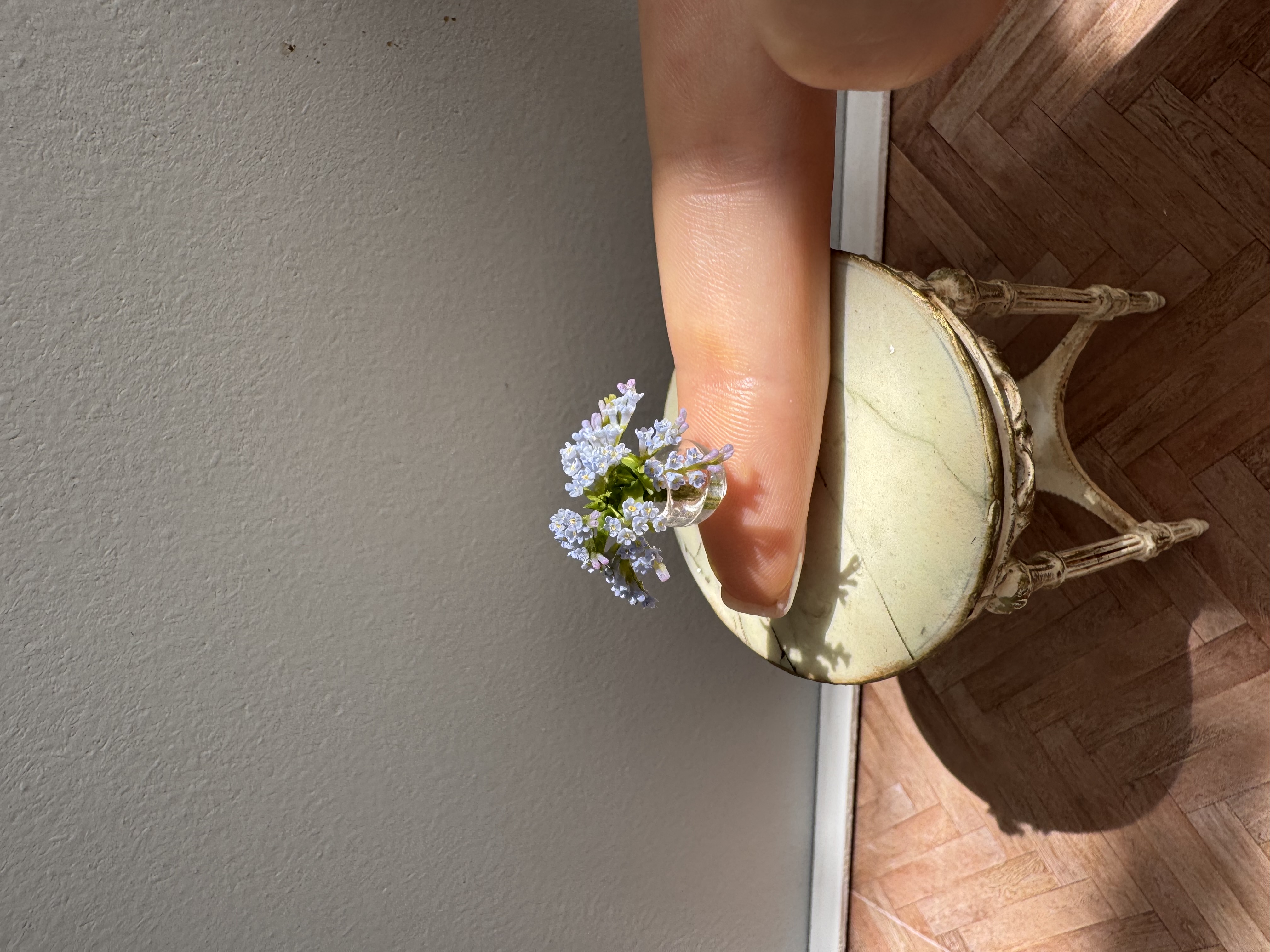 Forget-me-nots
