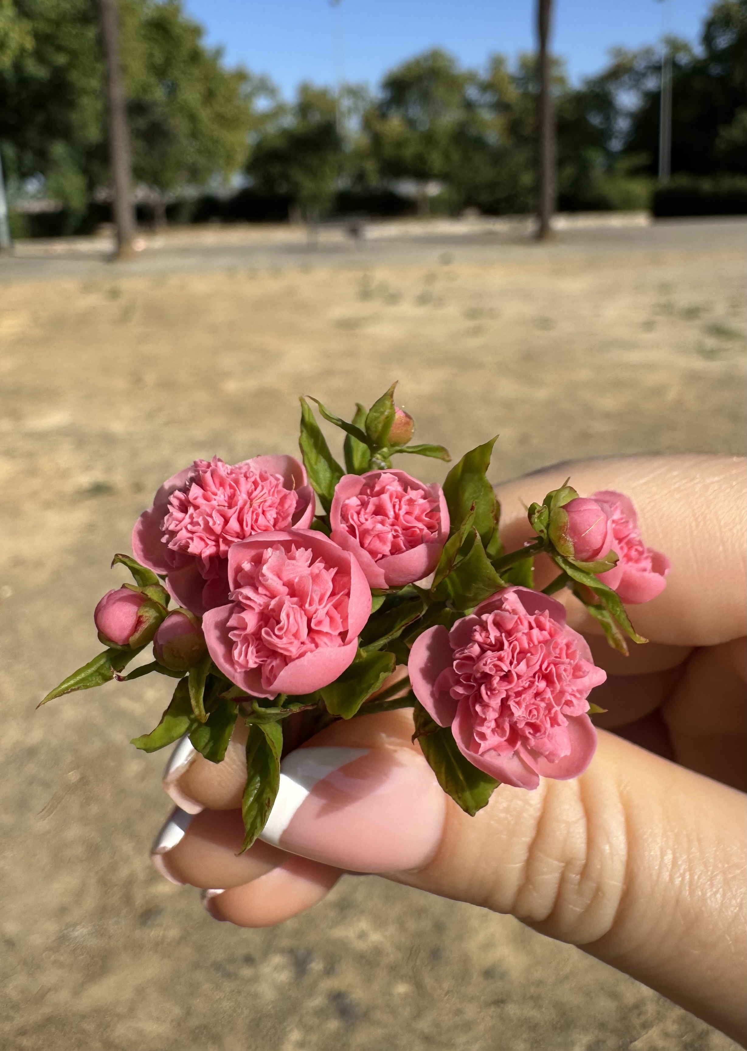 Dollhouse Peonies, Scale 1/12, TO ORDER