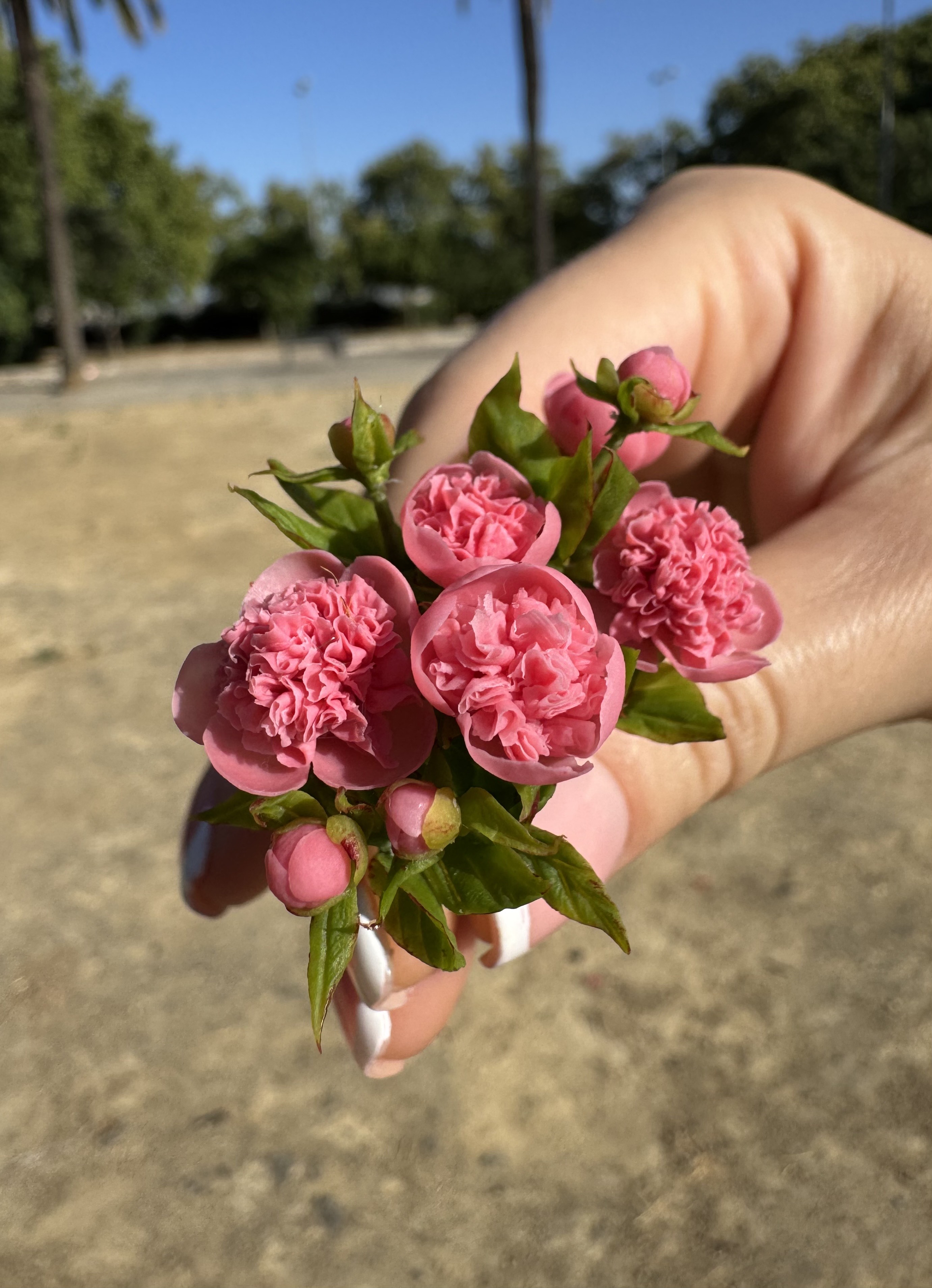 Dollhouse Peonies, Scale 1/12, TO ORDER