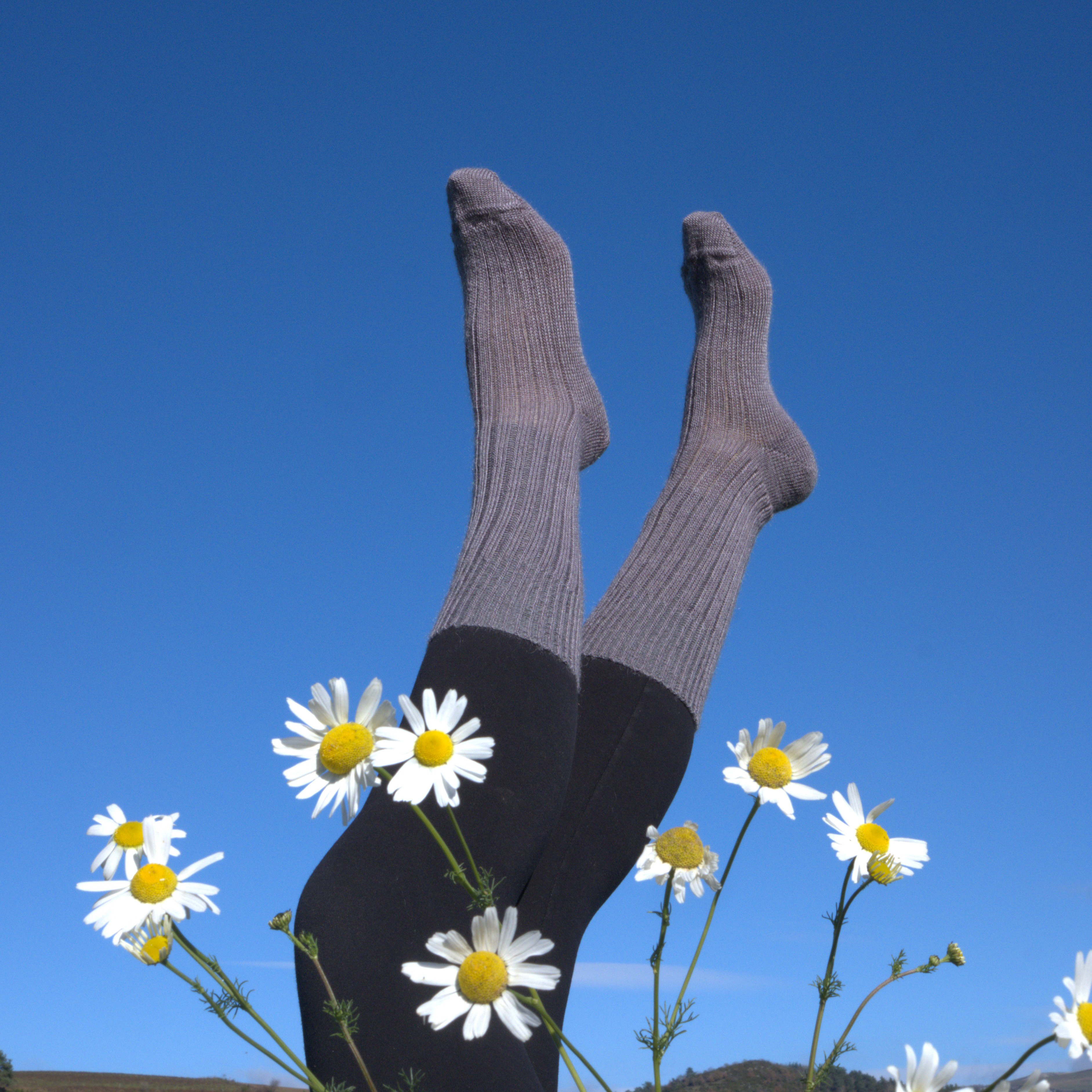 "Ipsilon" galtzerdiak / calcetines "Ipsilon"/ chaussettes "Ipsilon"/ "Ipsilon" socks