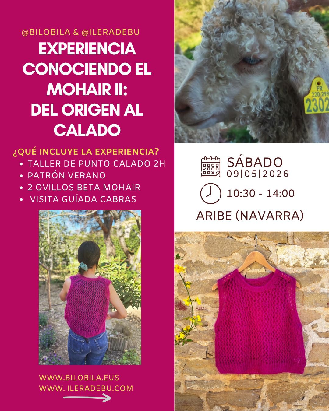 EXPERIENCIA CONOCIENDO EL MOHAIR II: DEL ORIGEN AL CALADO