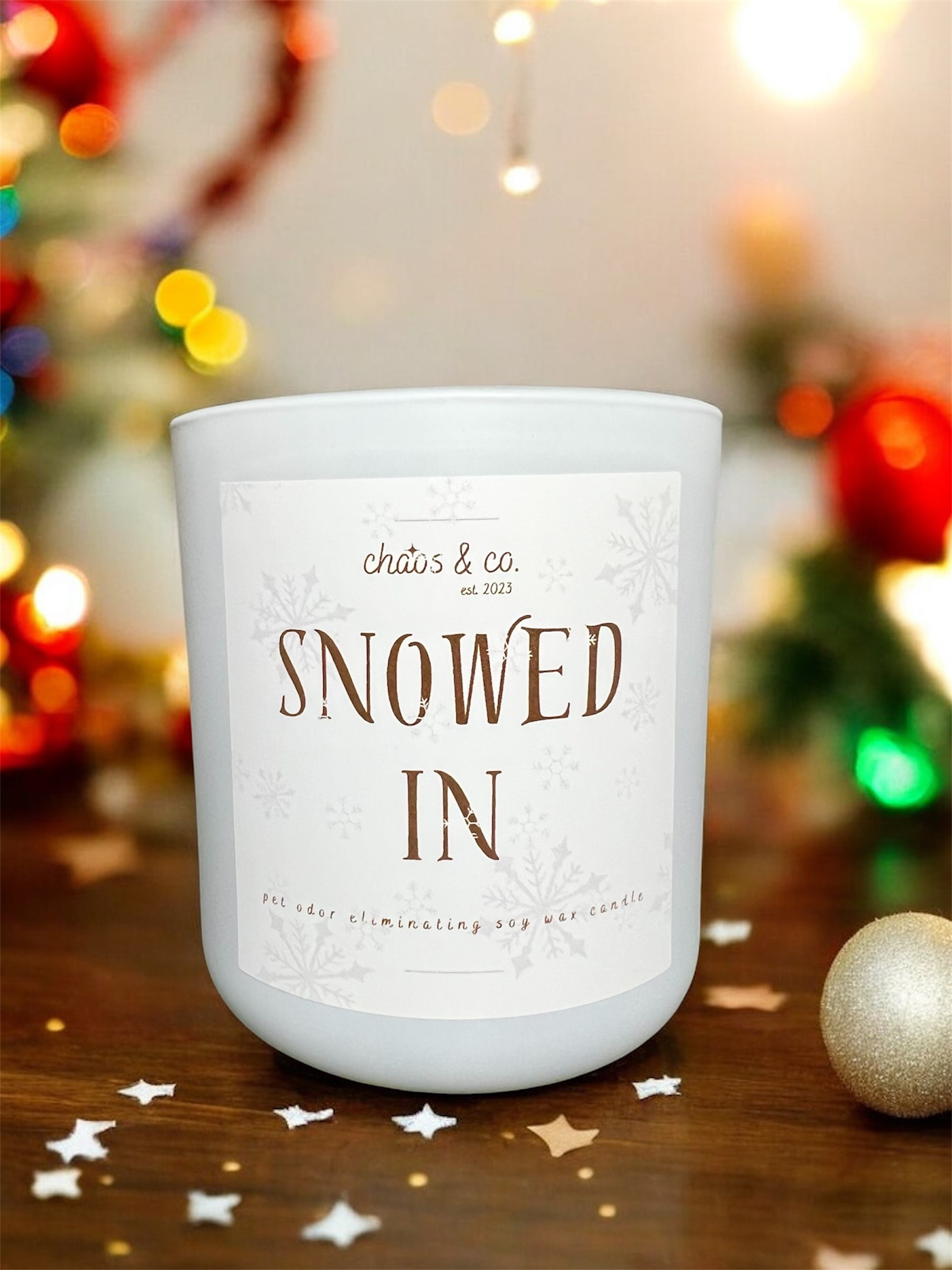Snowed In