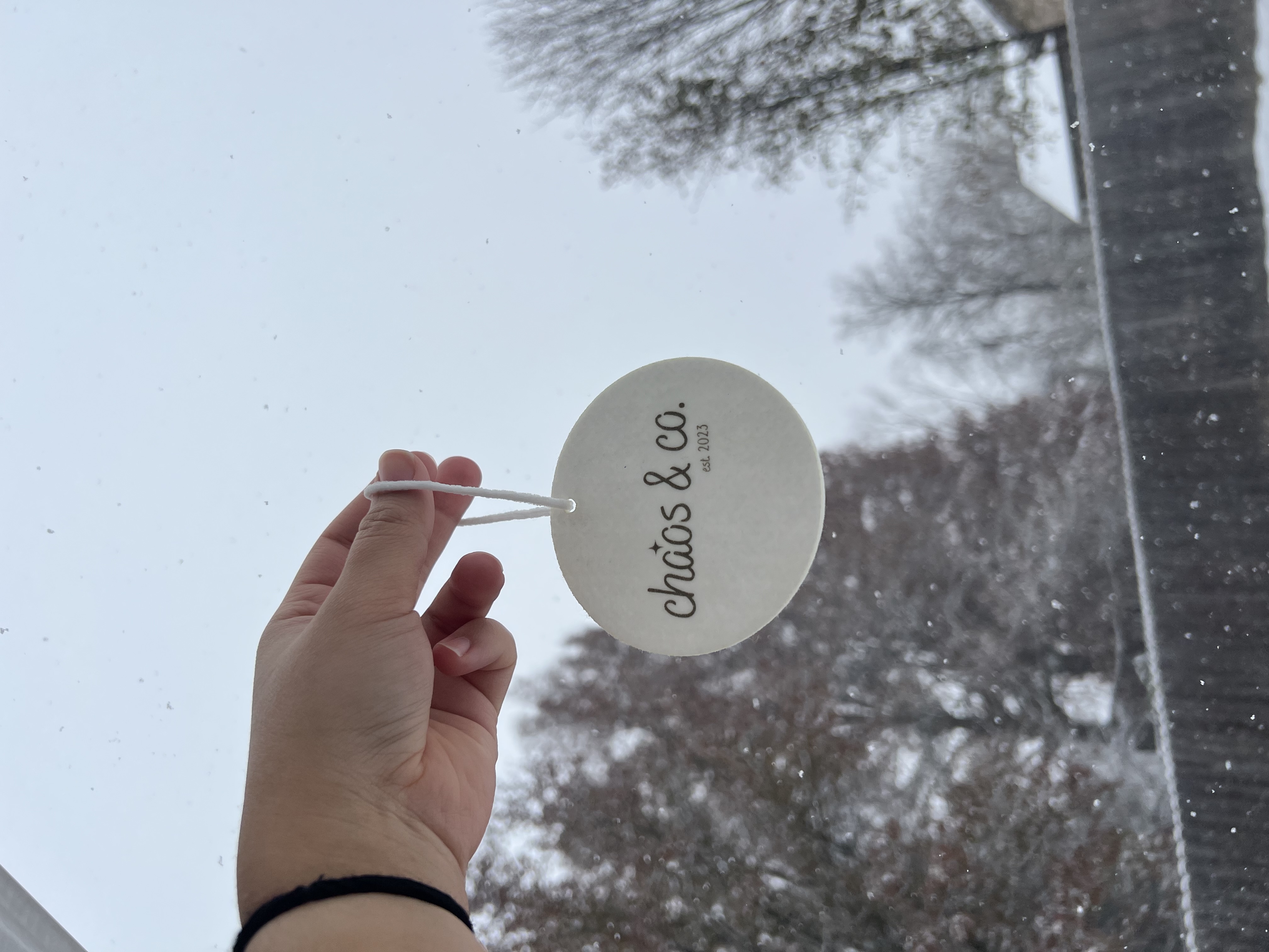 Hanging Air Freshener 