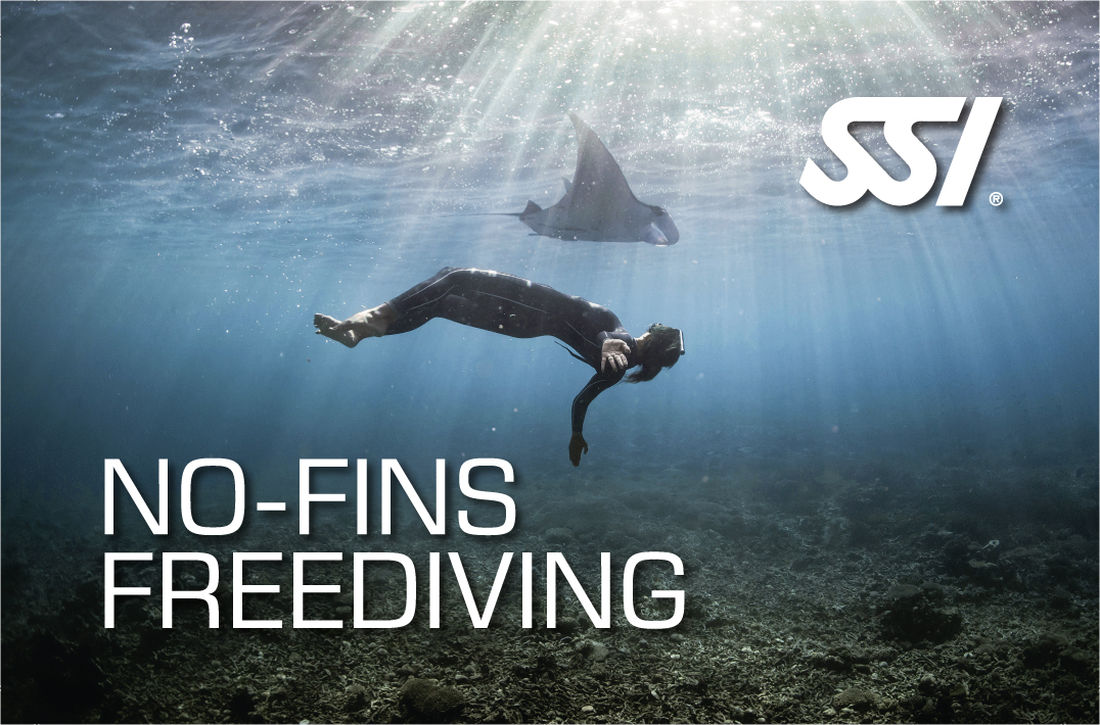 SSI No Fins 