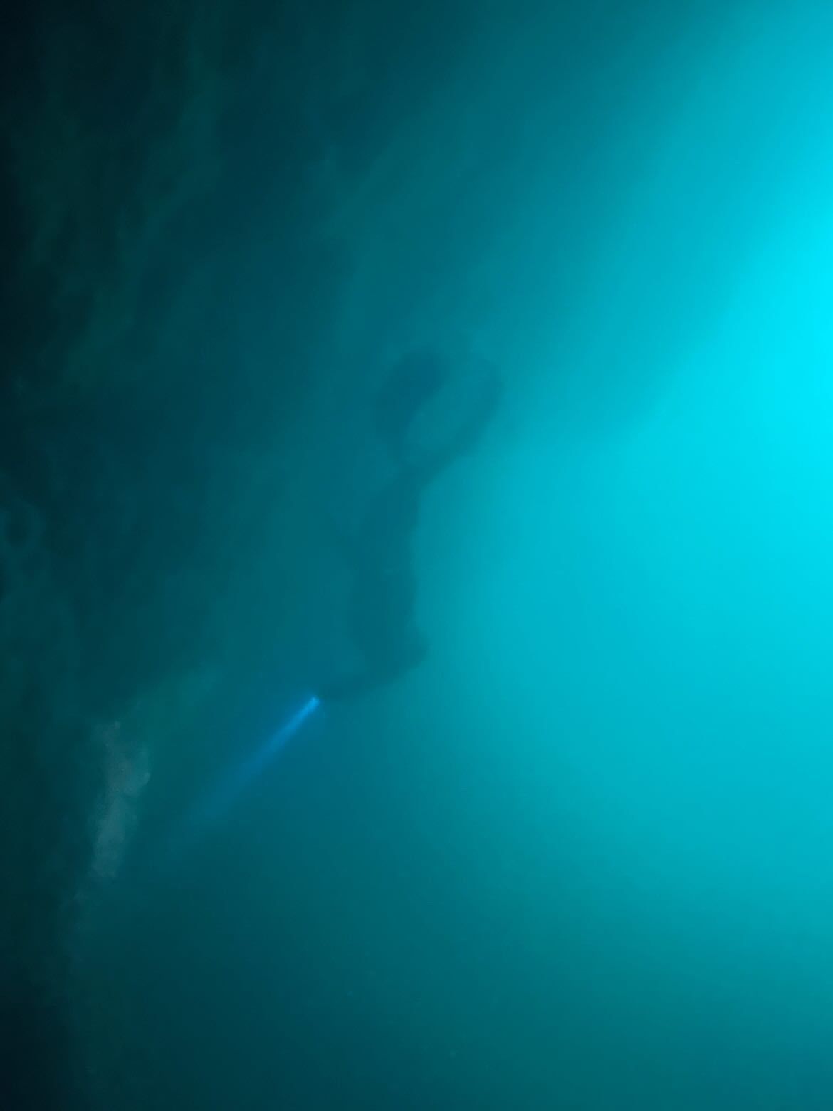 Freediving Voucher