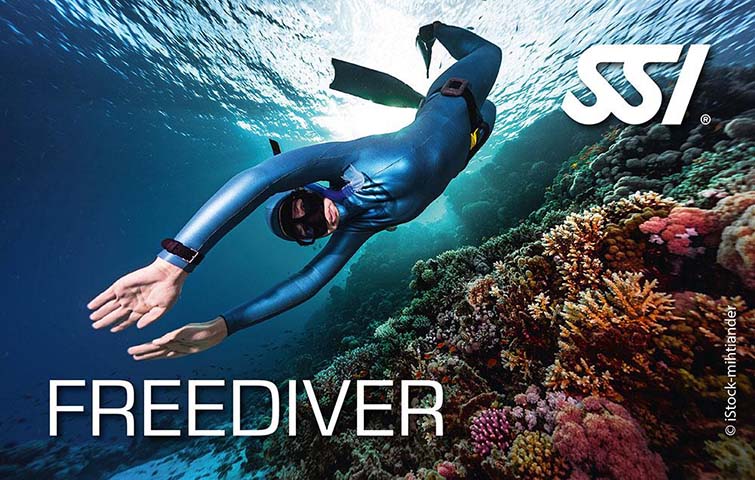 Spearfishing Safety & Training Bundle