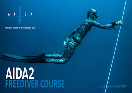 AIDA Advanced  Bundle