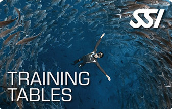 Training Tables Bundle