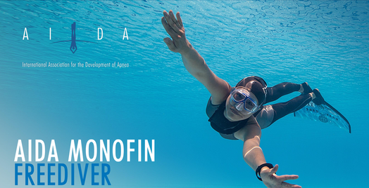 AIDA Starter Monofin  Bundle