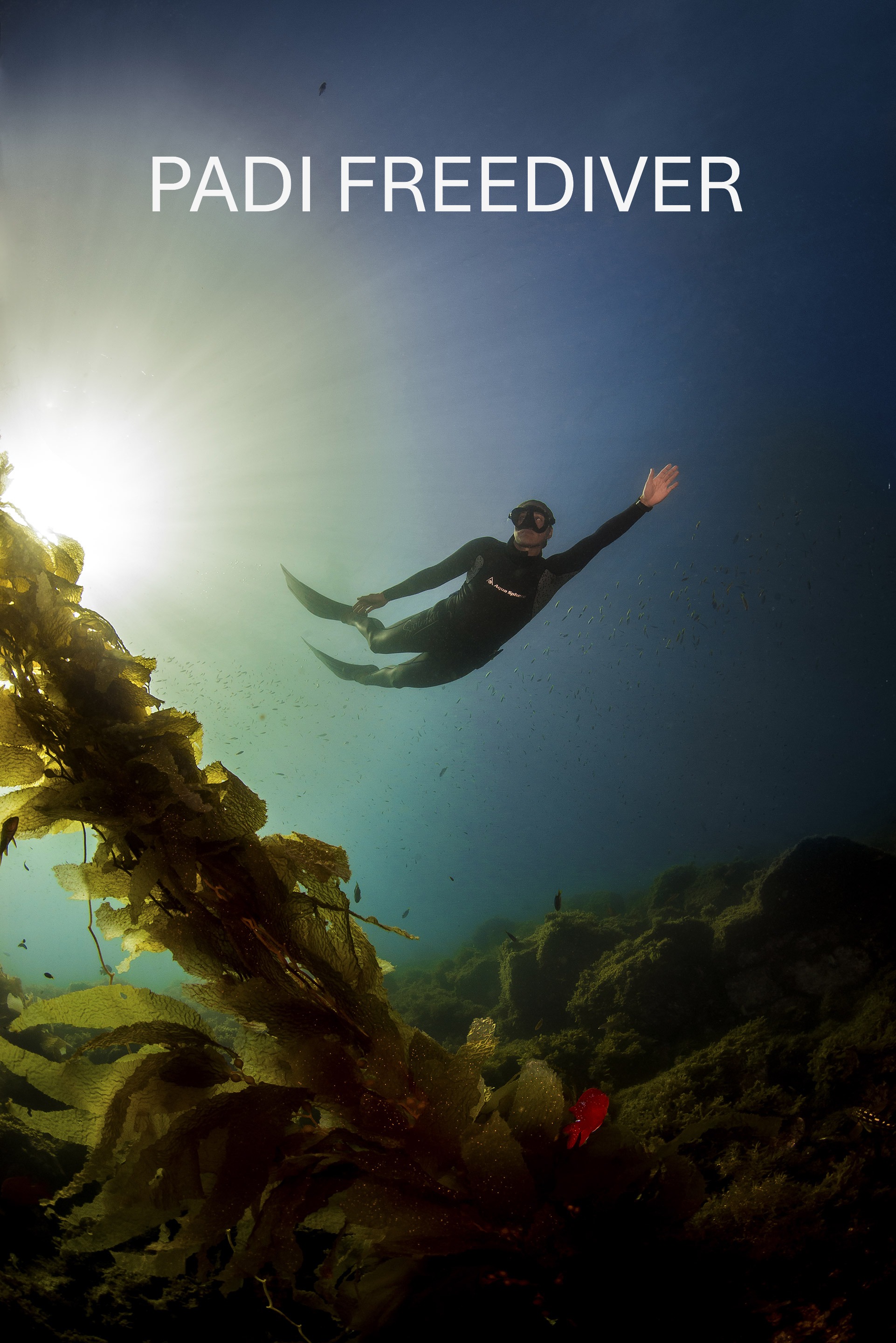 PADI Freediver