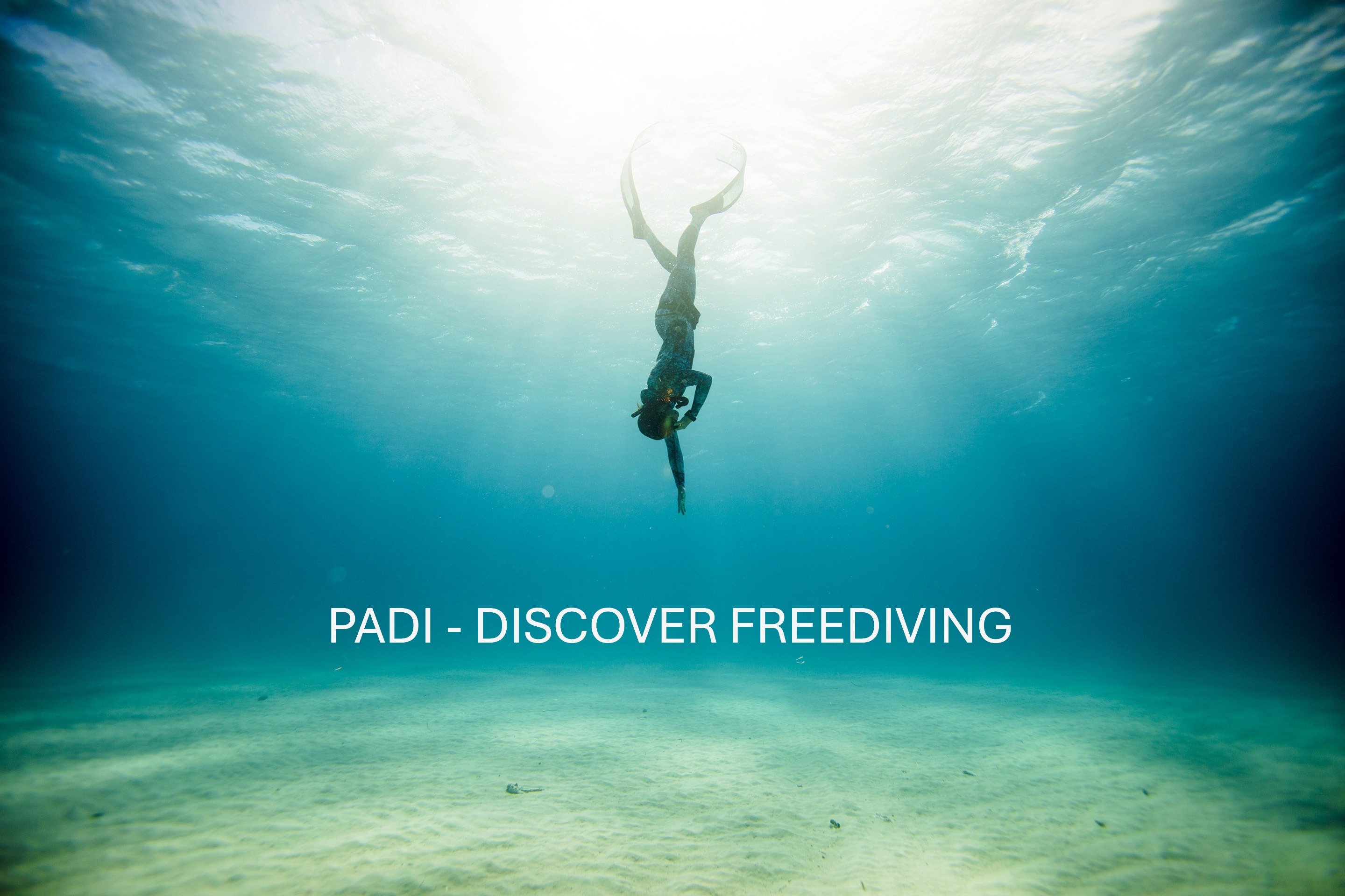 PADI Discover Freediving