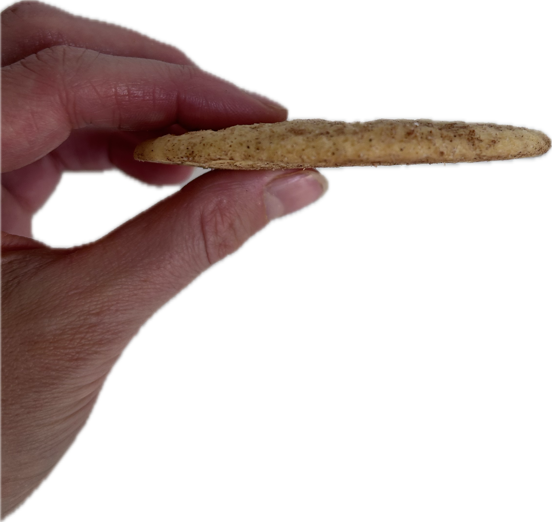 Snickerdoodle Cookies - 6 Cookies