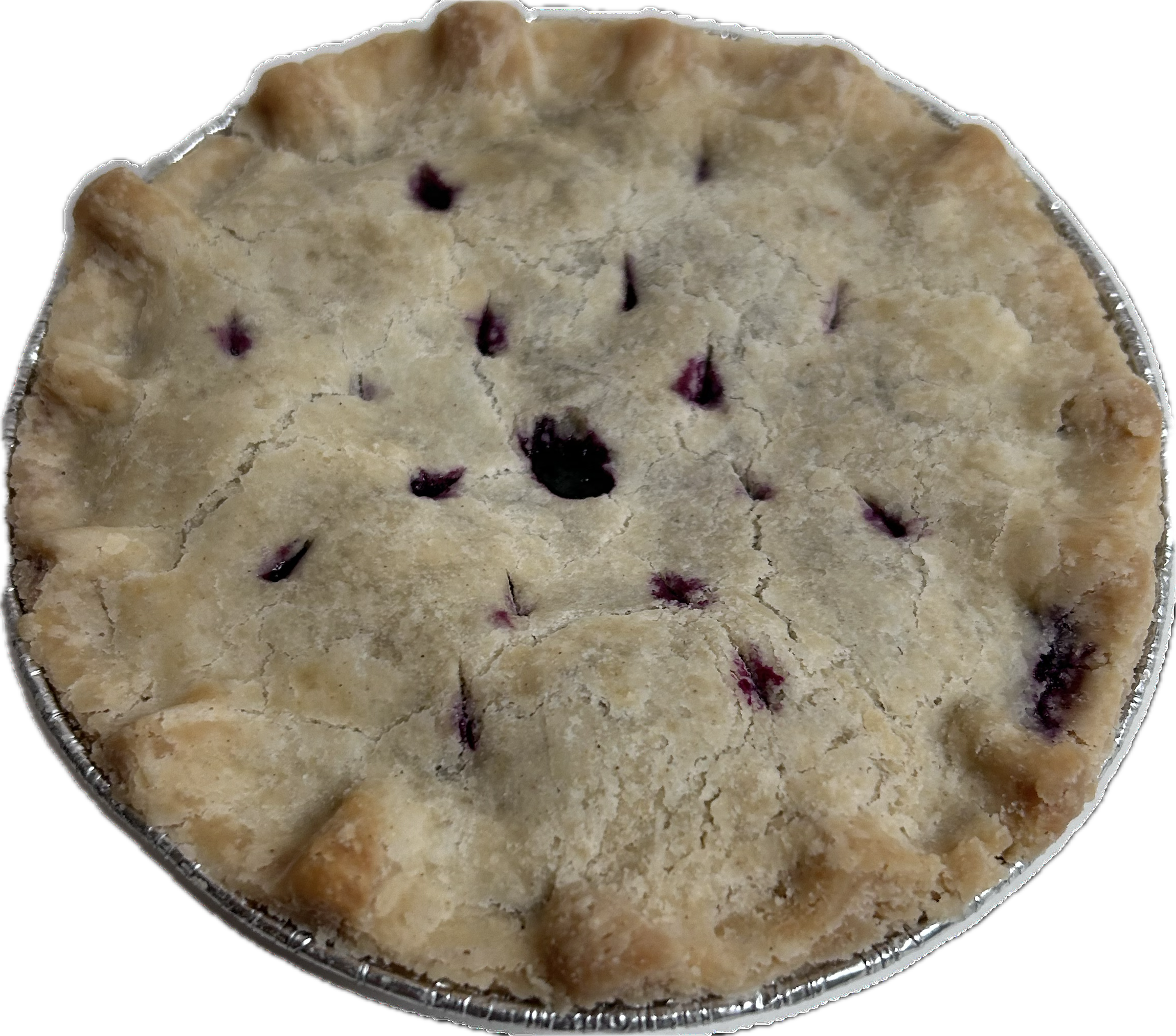 Blueberry Pie- 5"