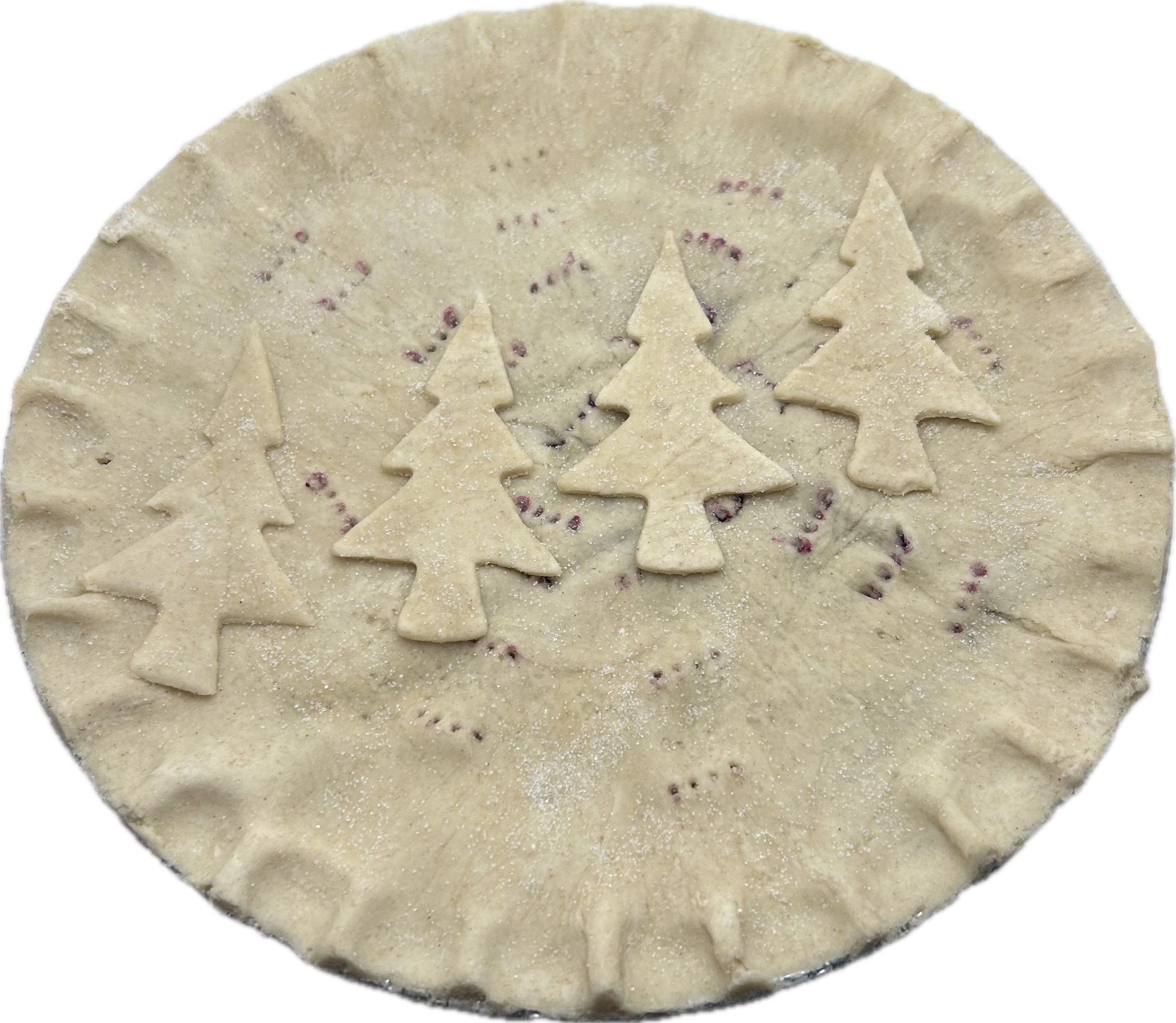 Blueberry Pie- 10"