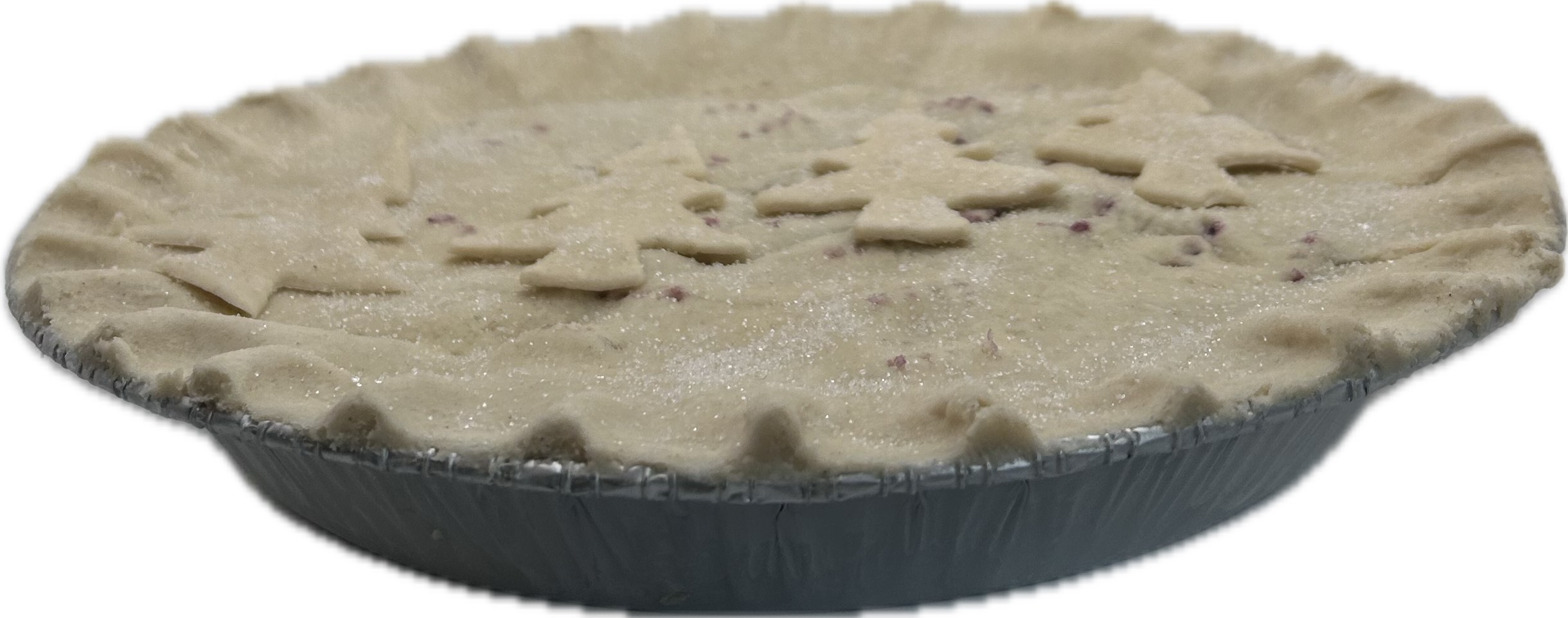 Blueberry Pie- 10"