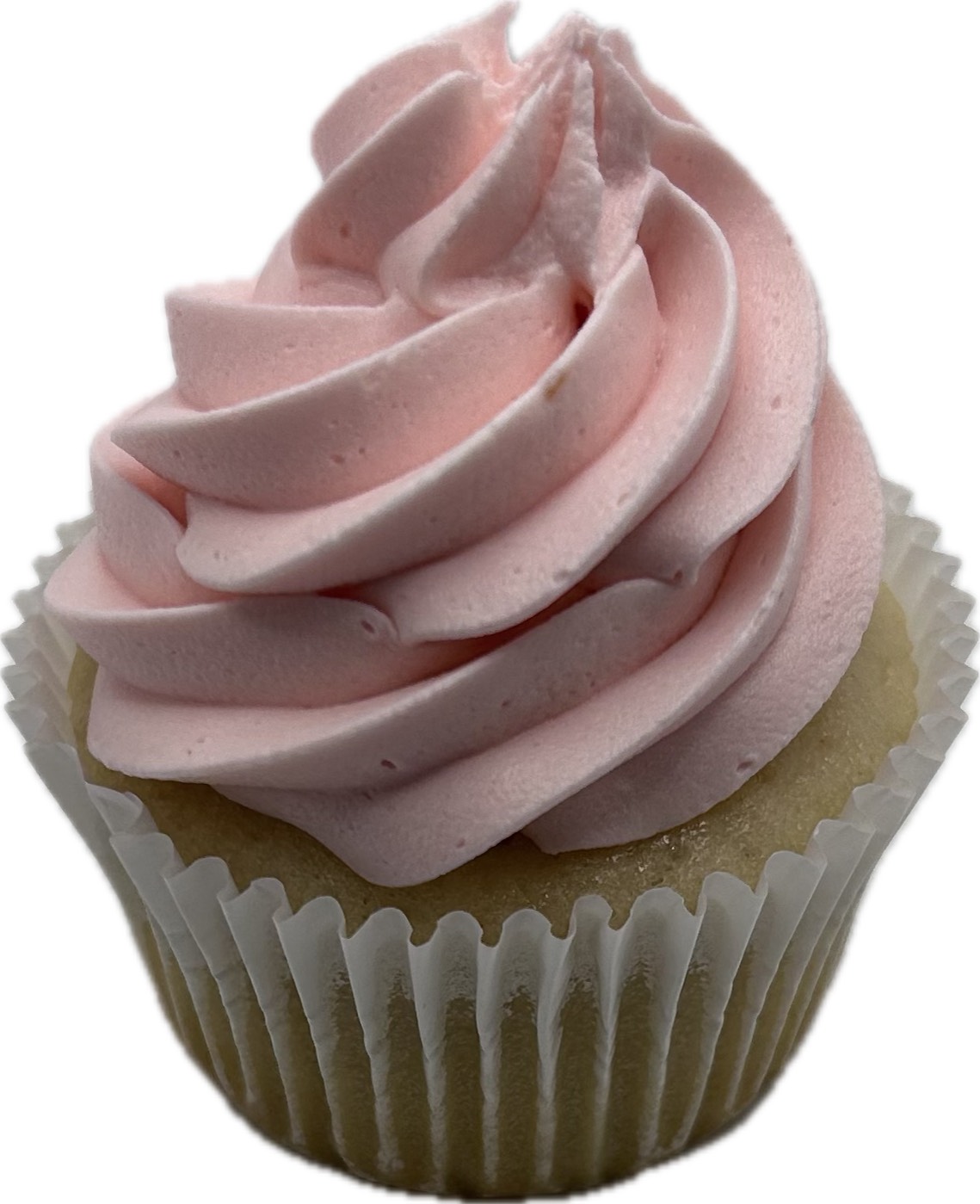 Vanilla Cupcakes with Colored Vanilla Icing - 6 Cupcakes