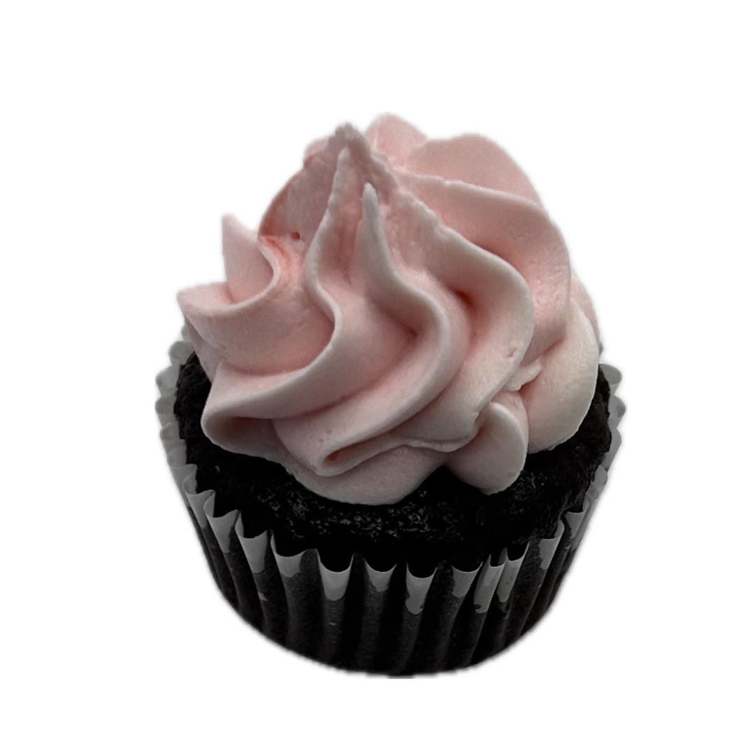 Mini Chocolate Cupcakes with Coloured Vanilla Icing - 12 Cupcakes