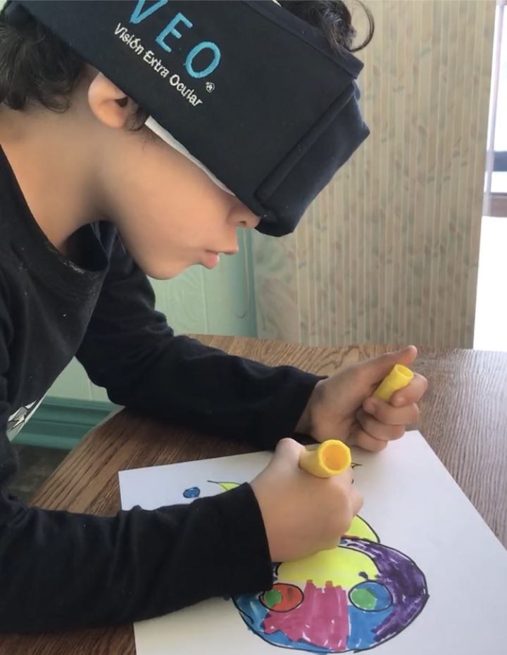 Extra Ocular Vision (VEO) Program