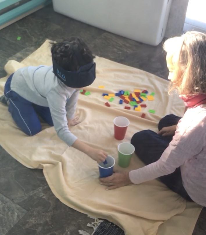 Extra Ocular Vision (VEO) Program