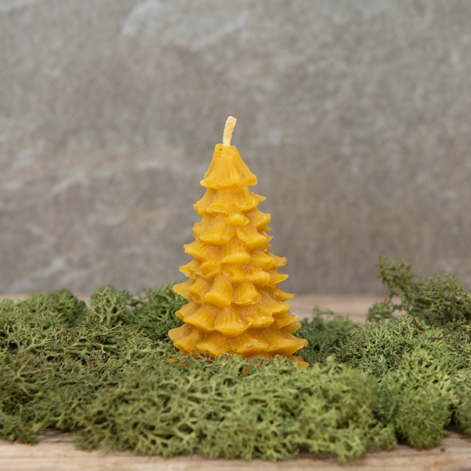 Bičių vaško žvakė Eglutė 1