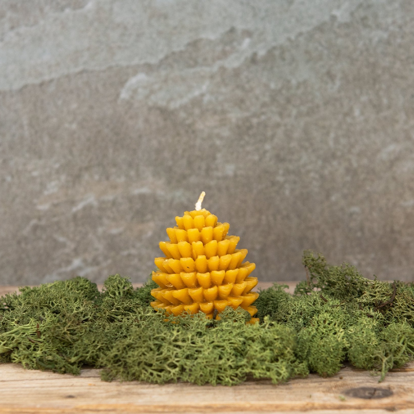 Bičių vaško žvakė Konkorežis