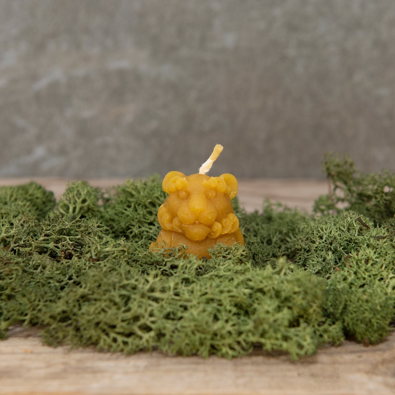 Bičių vaško žvakė Liūtukas