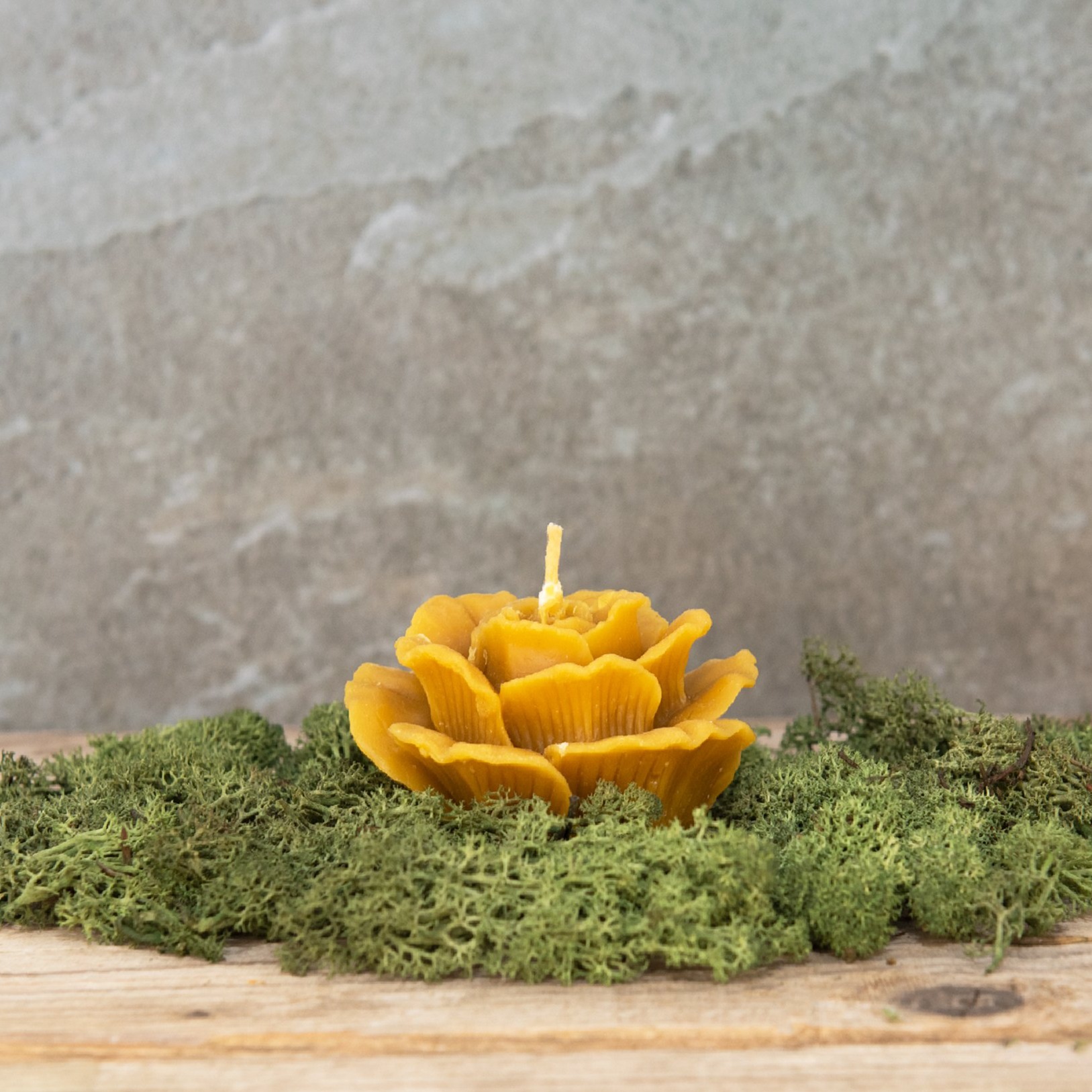 Bičių vaško žvakė Rožė 1