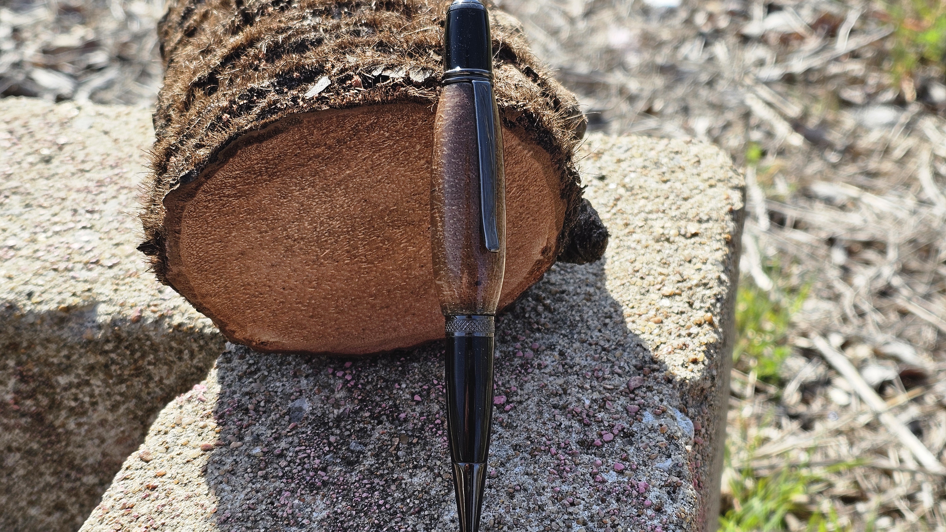 Black Palm from the Gulf of Mexico