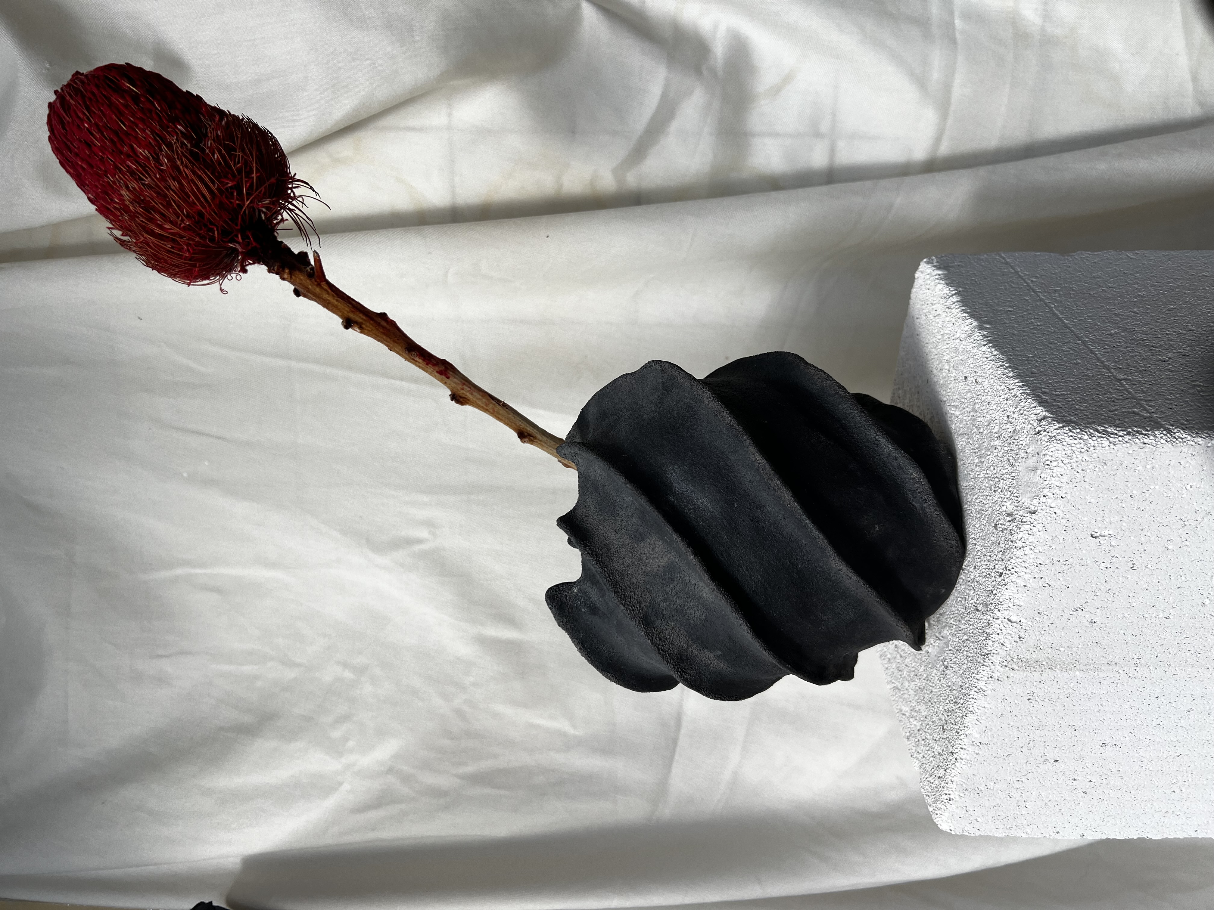 Vaza " Fragile Rocks"