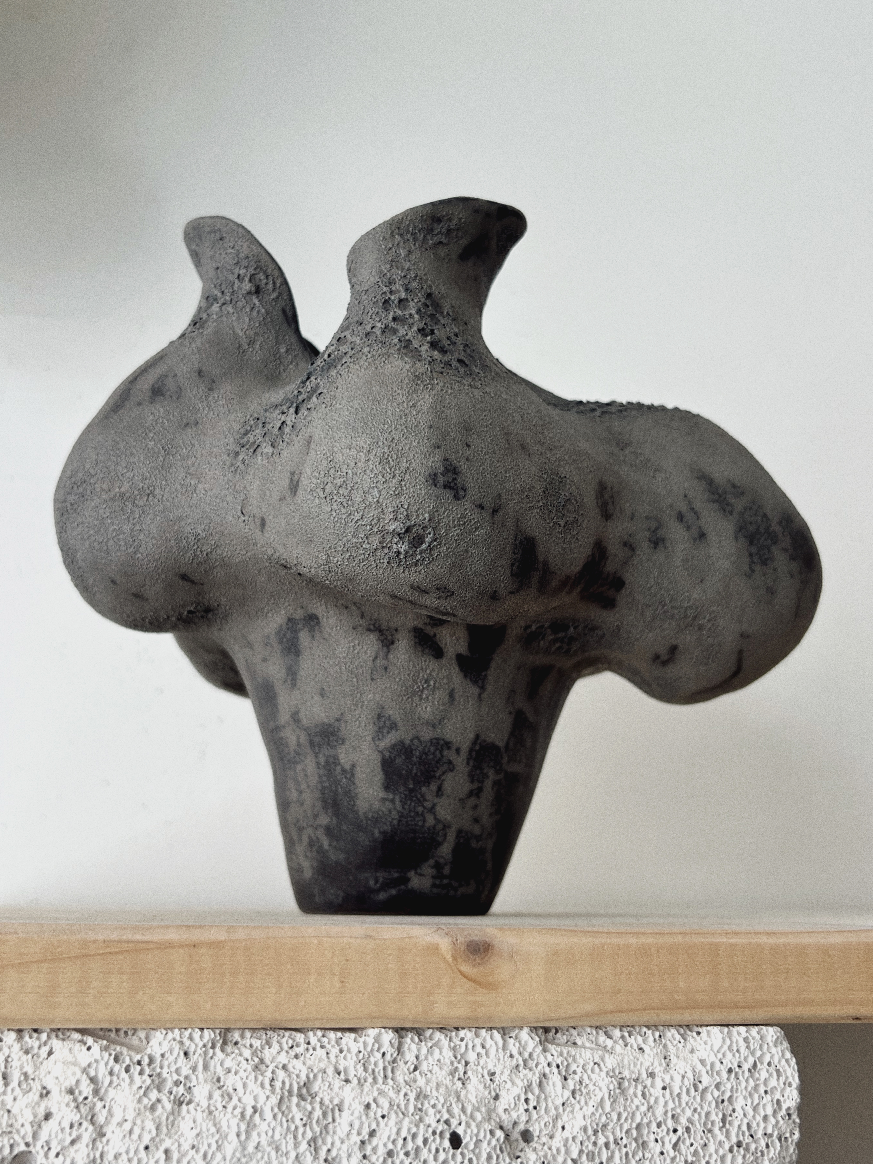 Keraminė vaza " Aguona" 