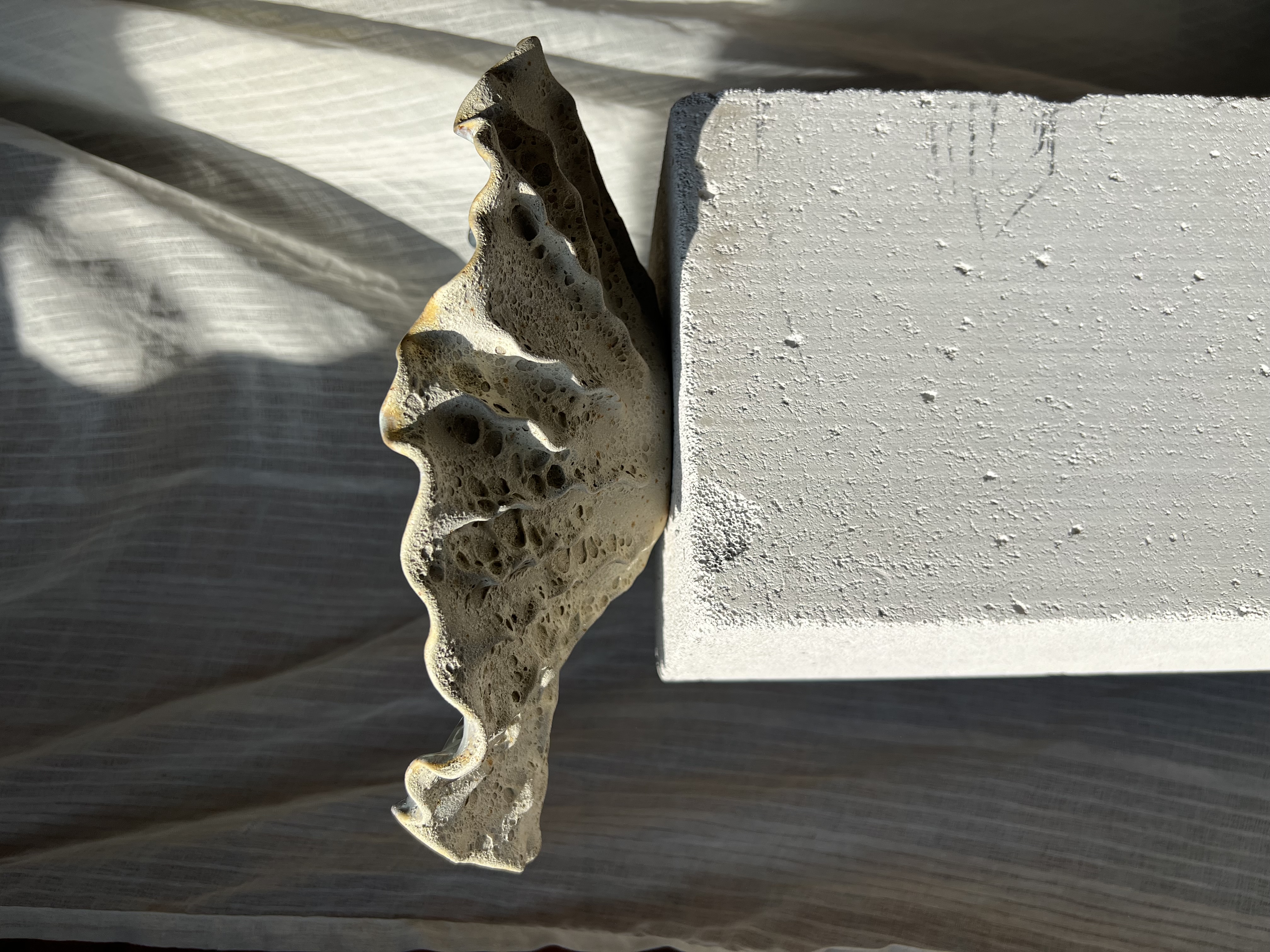 Koralinės kriauklės dubuo