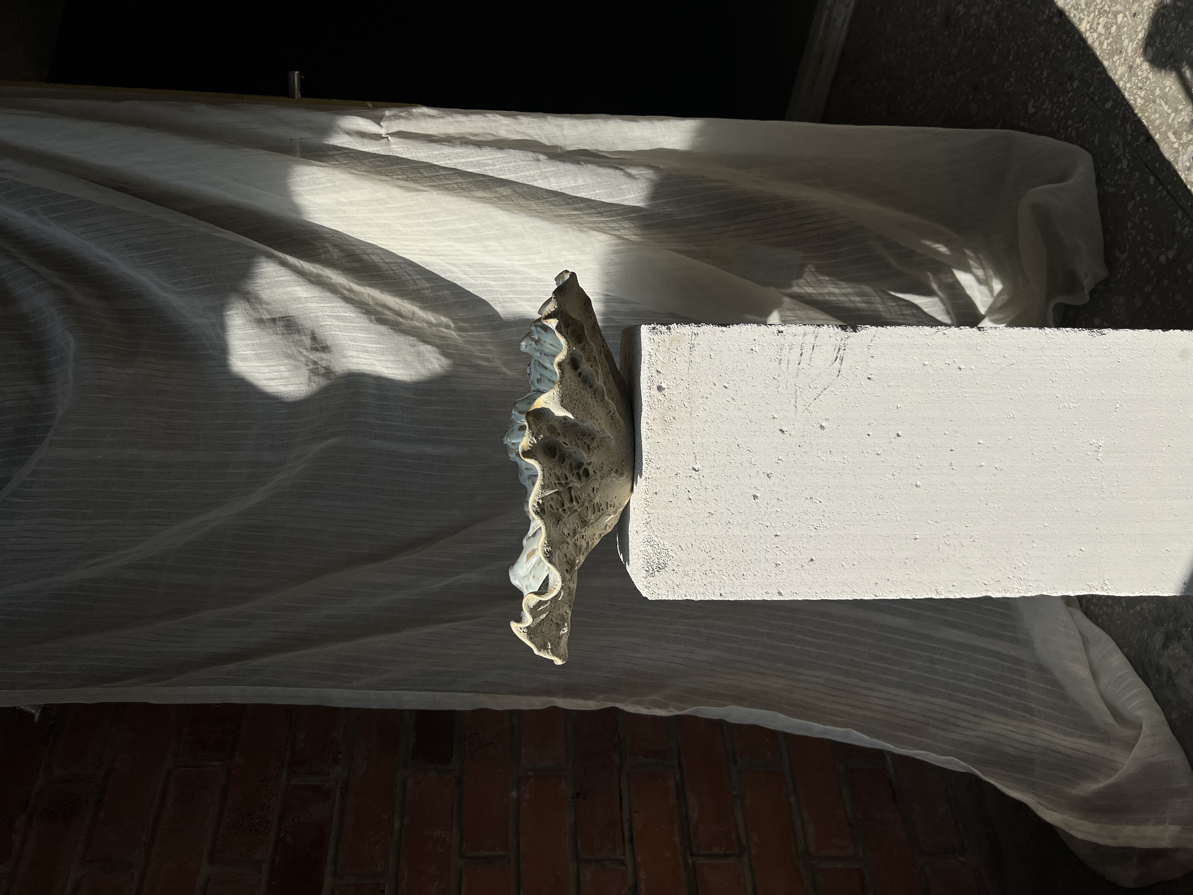 Koralinės kriauklės dubuo