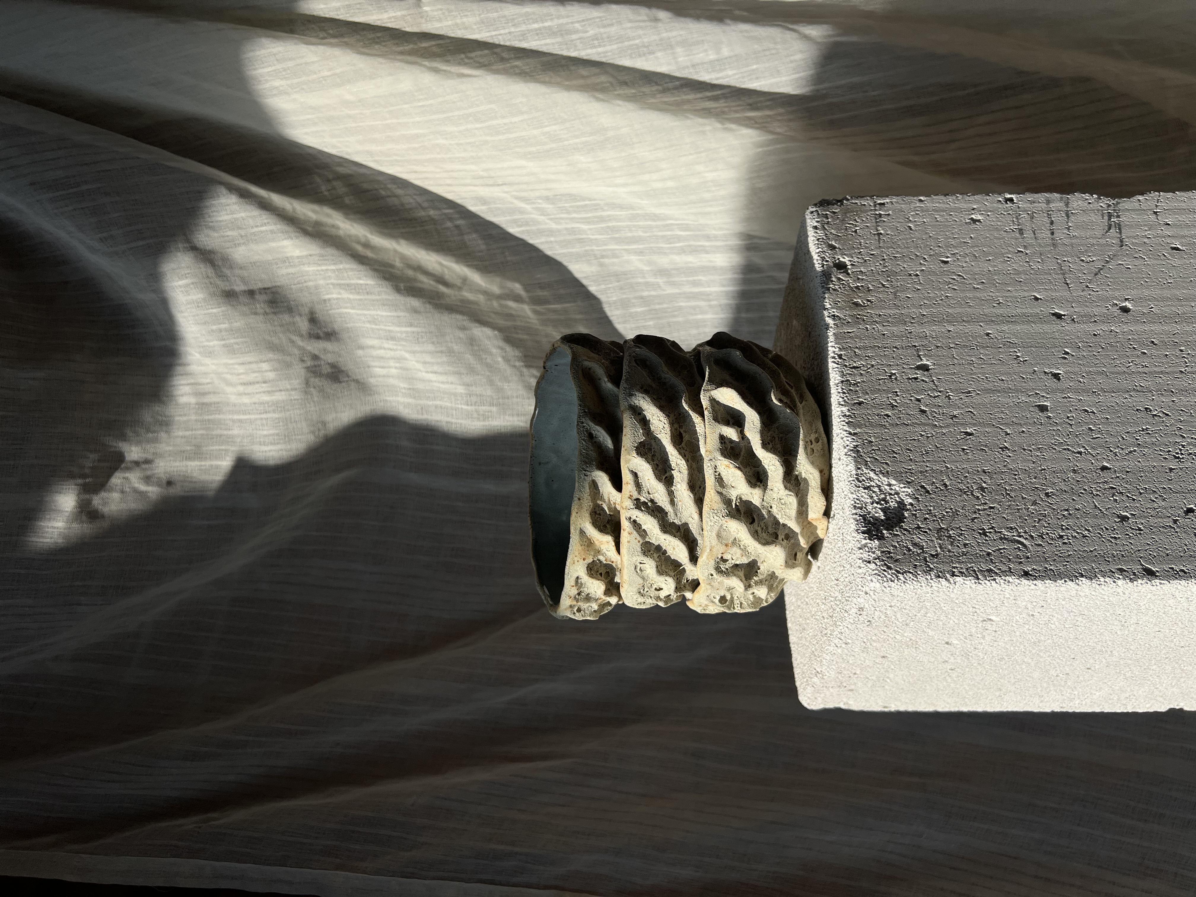 Koraliniai dubenėliai