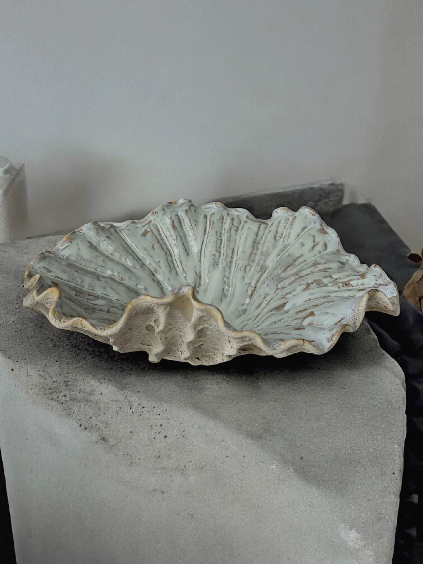 Koralinės kriauklės dubuo