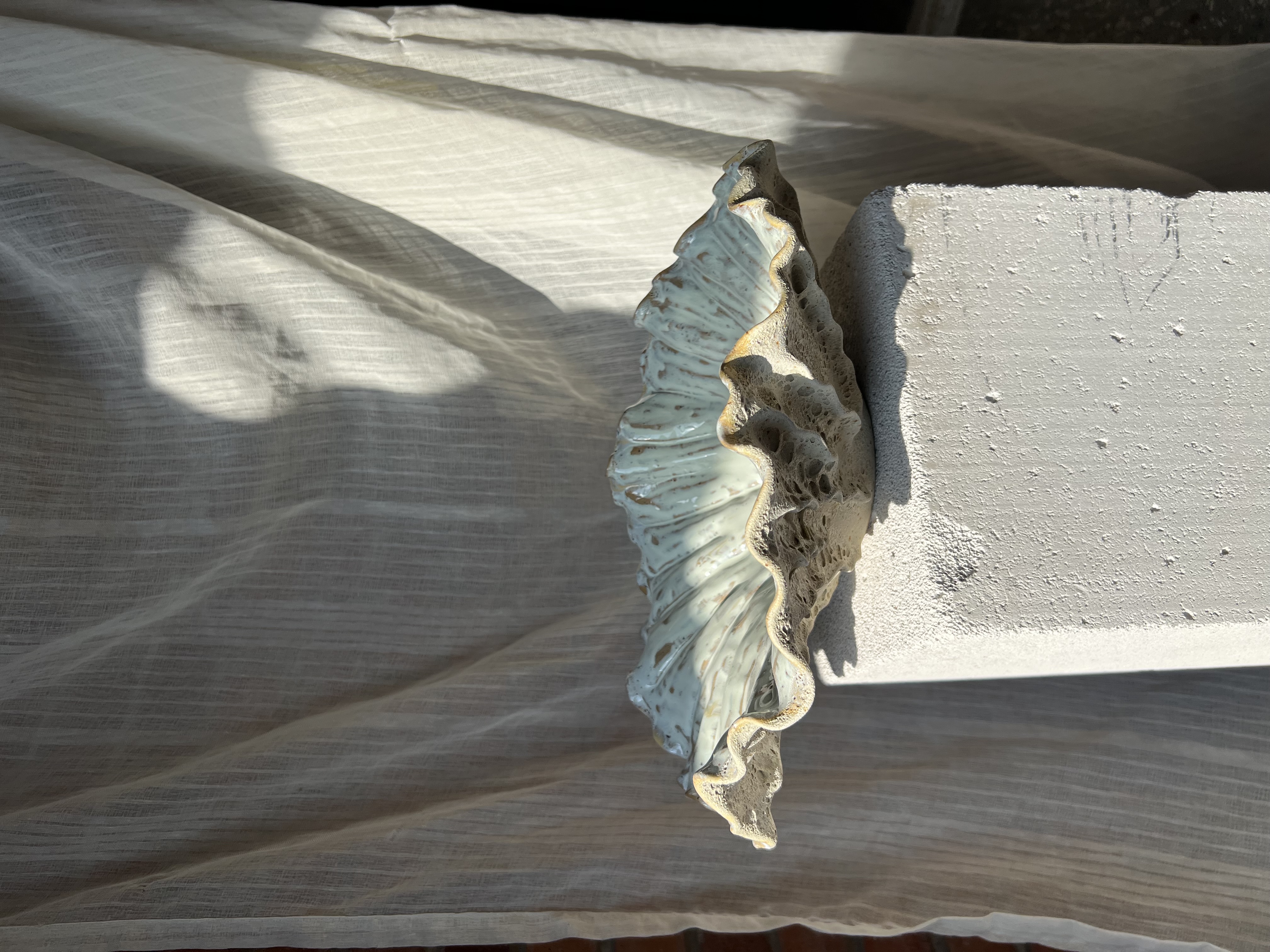 Koralinės kriauklės dubuo