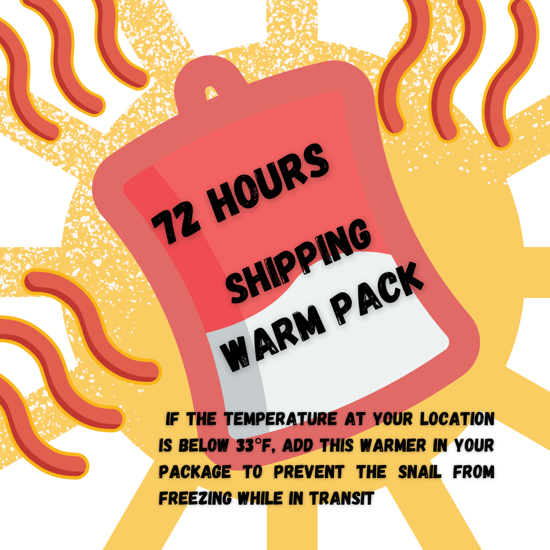 72 Hours Shipping Warmer 
