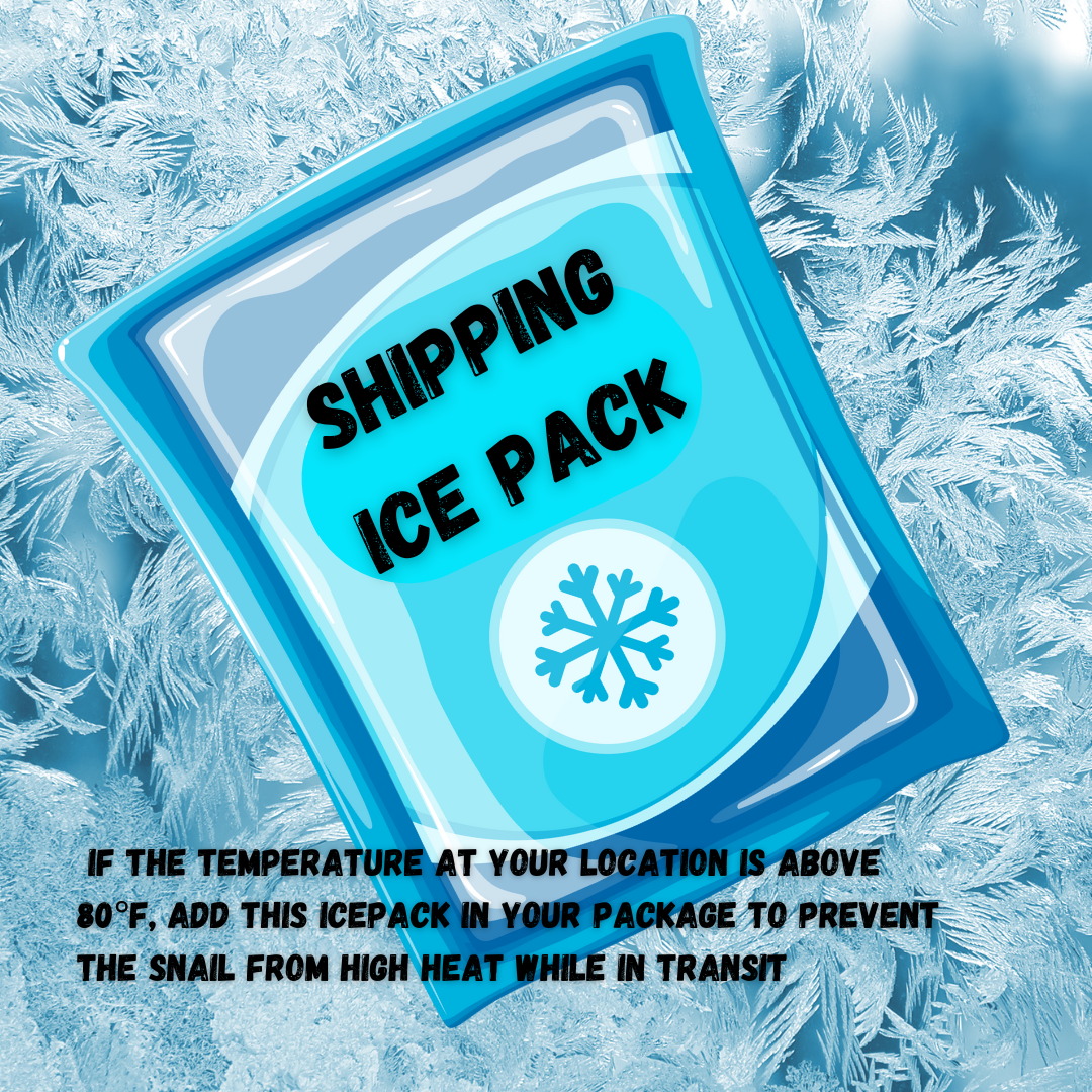 Reusable Ice Packs for Shipping