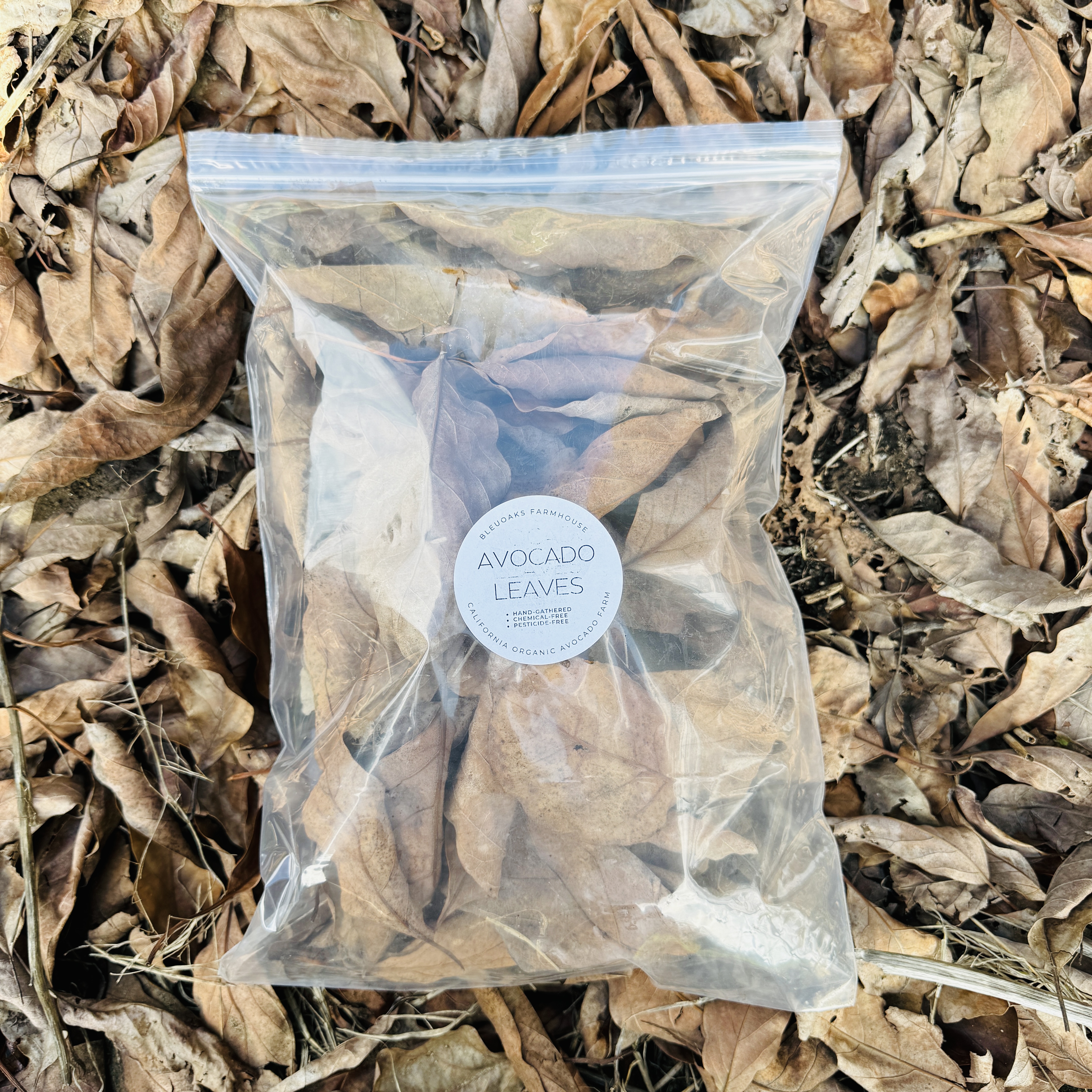 Premium Organic Avocado Leaf Litter nutritious snacks Terrarium decor Snail Isopod Food Substrate