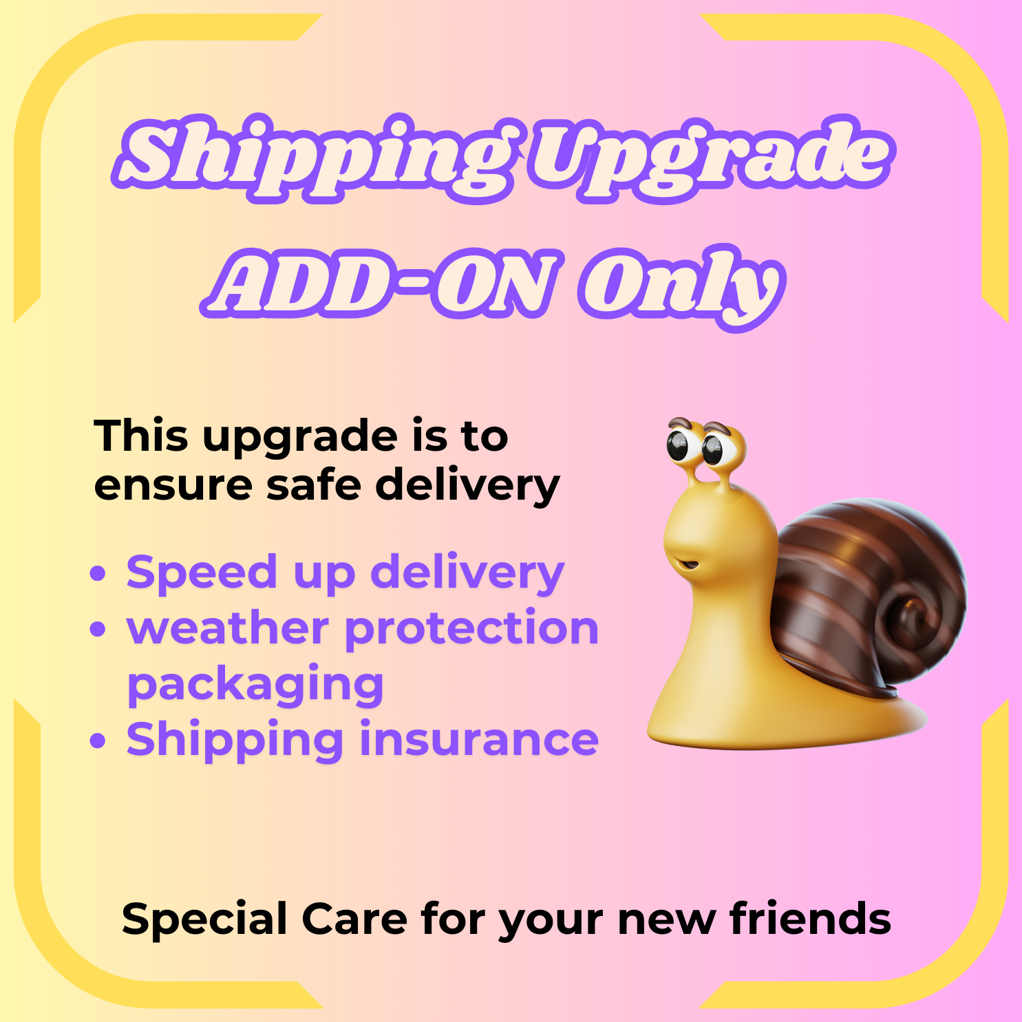 Shipping UPGRADE - 2 Day Express