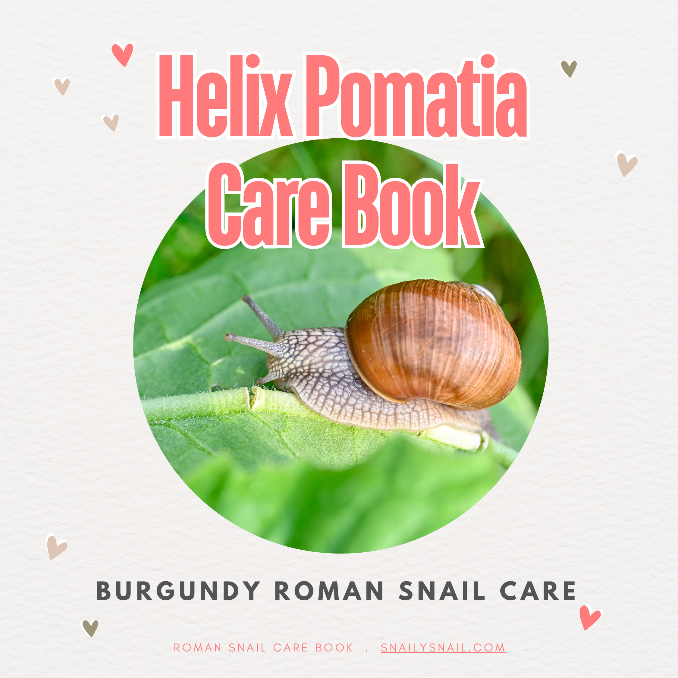Helix Pomatia Snail Care Book