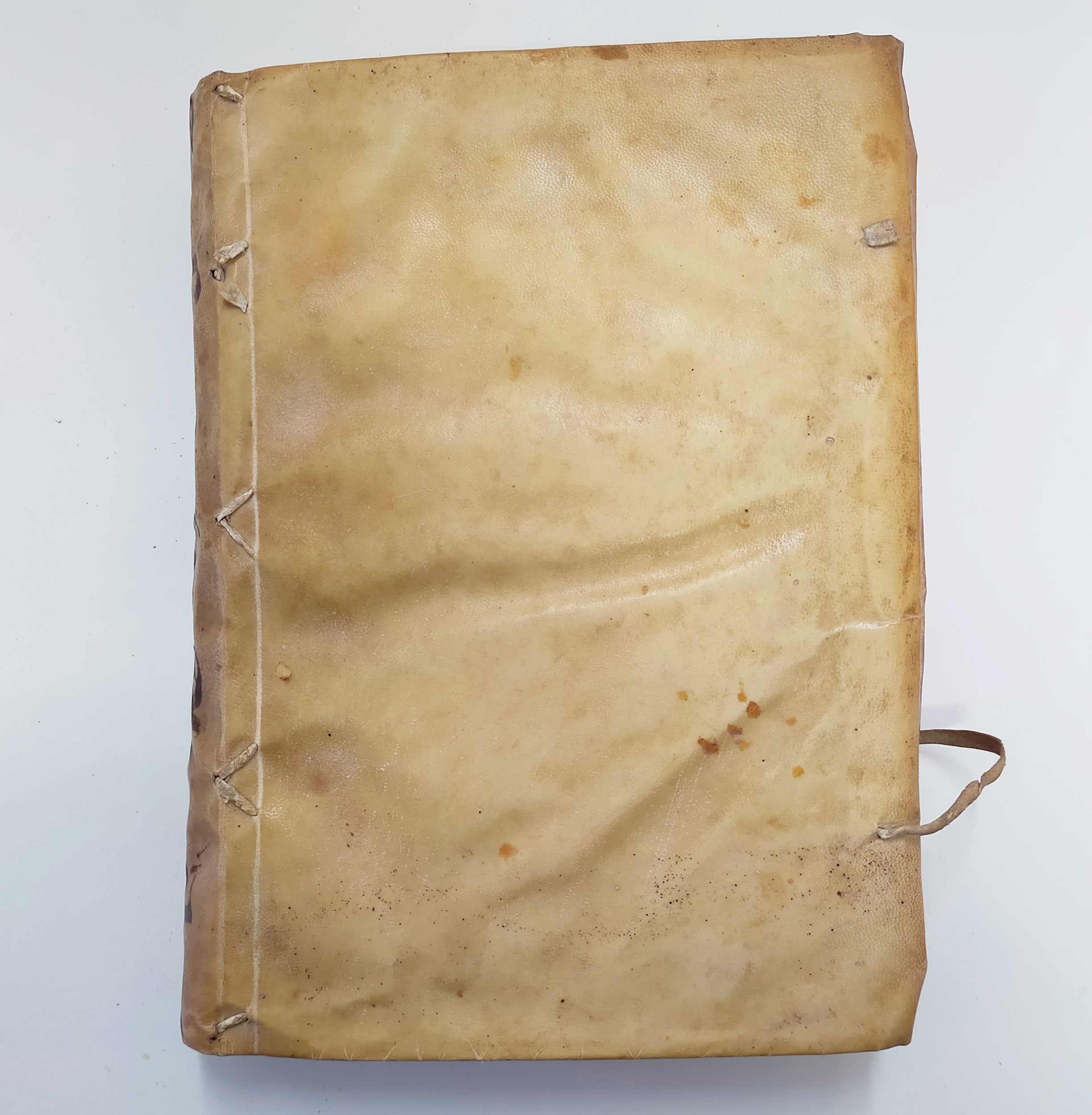 SUMA DE LA THEOLOGIA MORAL.