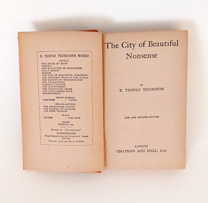 THE CITY OF BEAUTIFUL NONSENSE