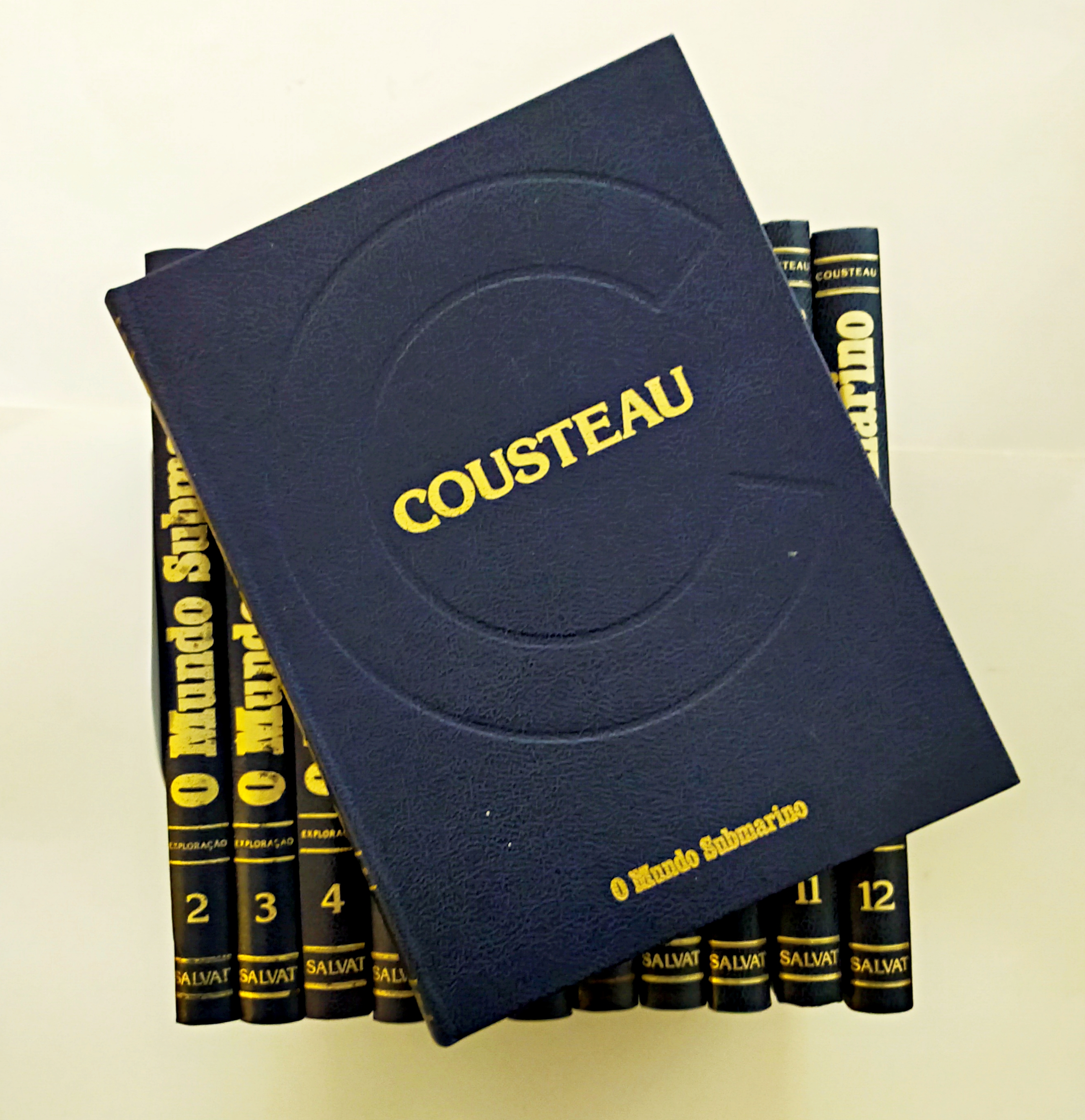 O MUNDO SUBMARINO (Volumes 1-12)