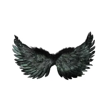 Dark Angel Wings 22 x 11